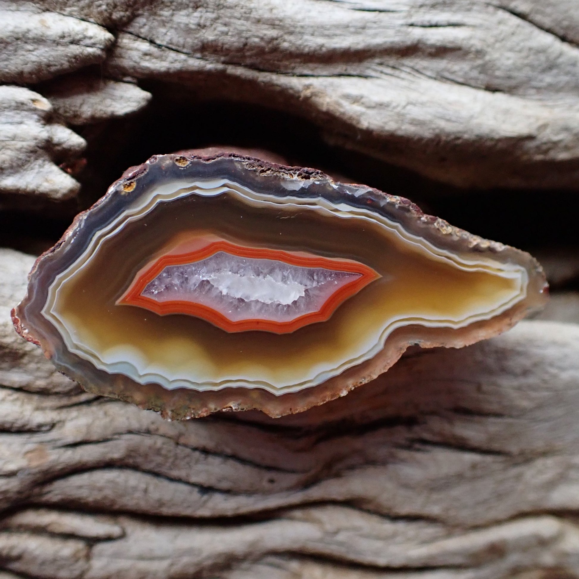 Natural hand-polished Malawi agate 49mm showing eye-form fortification banding, vivid carnelian-red inner band, amber zone, and blue-grey chalcedony border — full polished face | SKU 000378