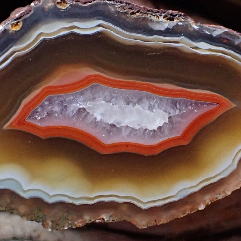 Close-up of crystalline centre with white and lavender micro-crystals enclosed by vivid carnelian-red band and ghost banding in amber zone — Ngabu Malawi agate | SKU 000378