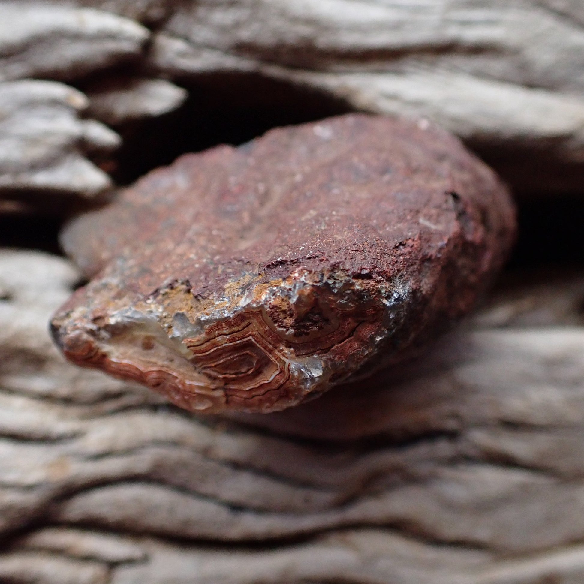 Unpolished back and cortex of Malawi Ngabu agate 49mm showing natural reddish-brown exterior with visible banding on edge | SKU 000378