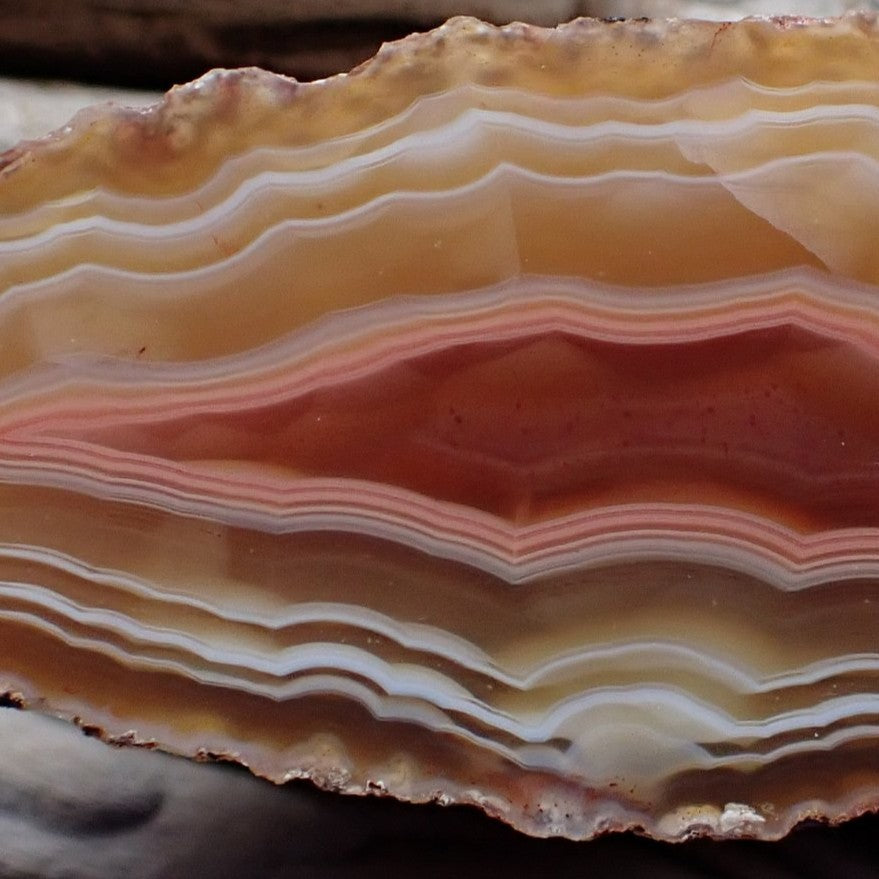 Close-up of fine fortification banding with parallax depth, rose-pink and honey-amber layers, ghost banding in outer cream zones, and solid sard-carnelian eye centre — Ngabu Malawi agate | SKU 000380