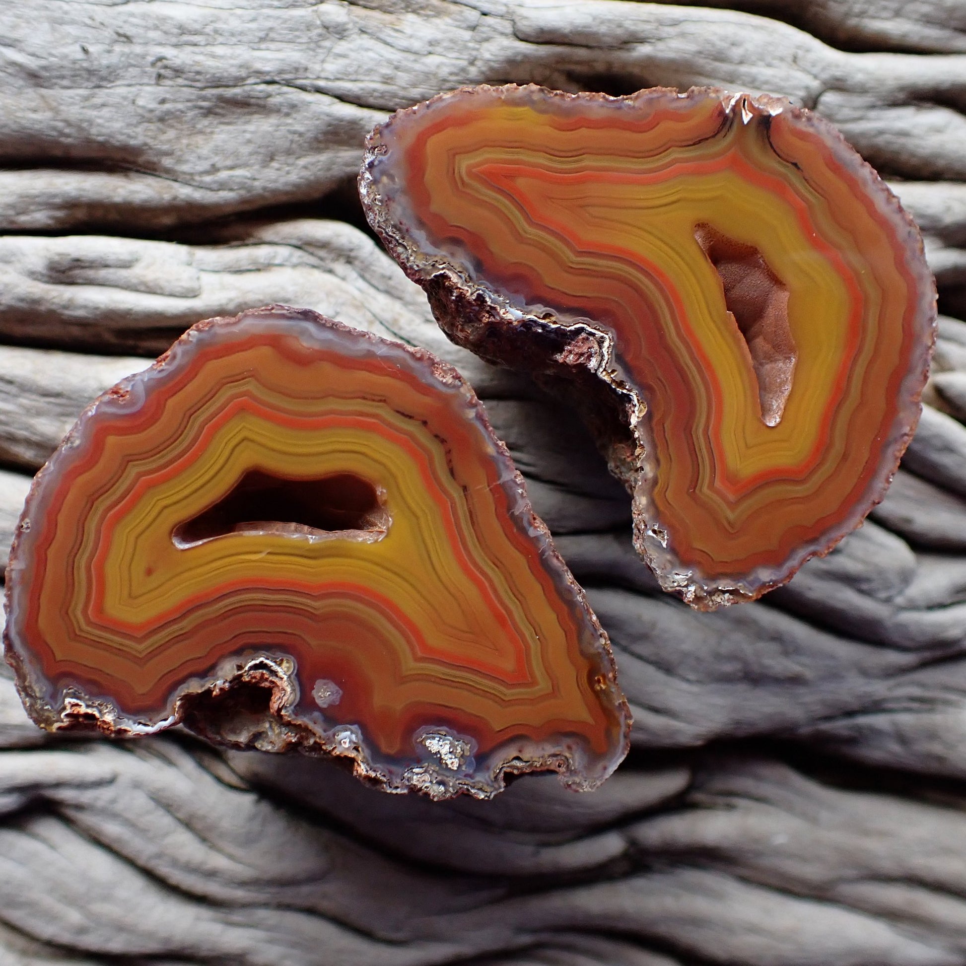 Matched pair Malawi agate 46 mm – both halves open showing mirrored fortification banding, two vugs, blue-grey chalcedony border, Ngabu origin, hand-polished in South Africa | SKU 000382