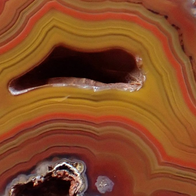 Close-up Malawi agate 46 mm – tight sard-carnelian fortification banding, elongated vug with fine druzy, smaller vug with blue-grey chalcedony border, Ngabu origin | SKU 000382