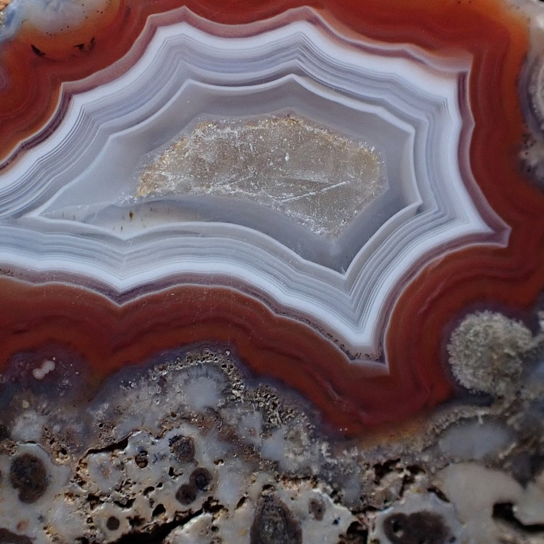 Close-up Malawi agate 38 mm – scalloped fortification banding, calcite centre, pale chalcedony zone with dark spotting, Ngabu origin | SKU 000383