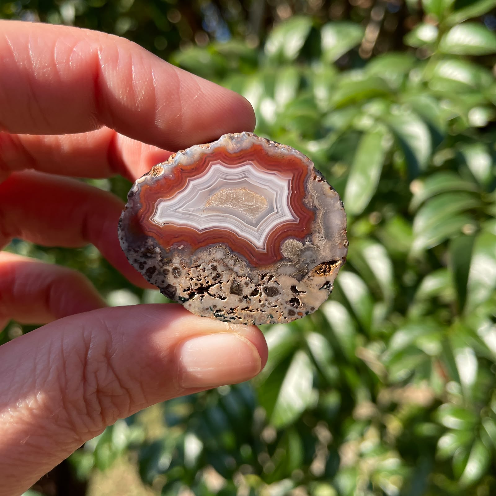 sard-red Malawi agate 38 mm – in-hand view, parallax, scalloped fortification banding, calcite centre, blue-grey chalcedony border, Ngabu origin, hand-polished in South Africa | SKU 000383