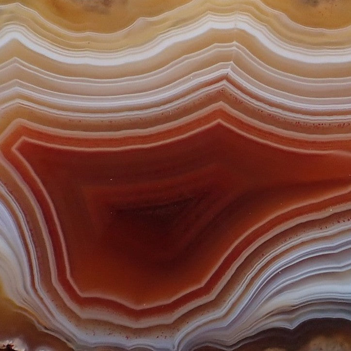 Close-up Malawi agate 53 mm – tight scalloped fortification banding with shadow banding, dome arch structure, sard-red to cream-white bands, Ngabu origin | SKU 000384