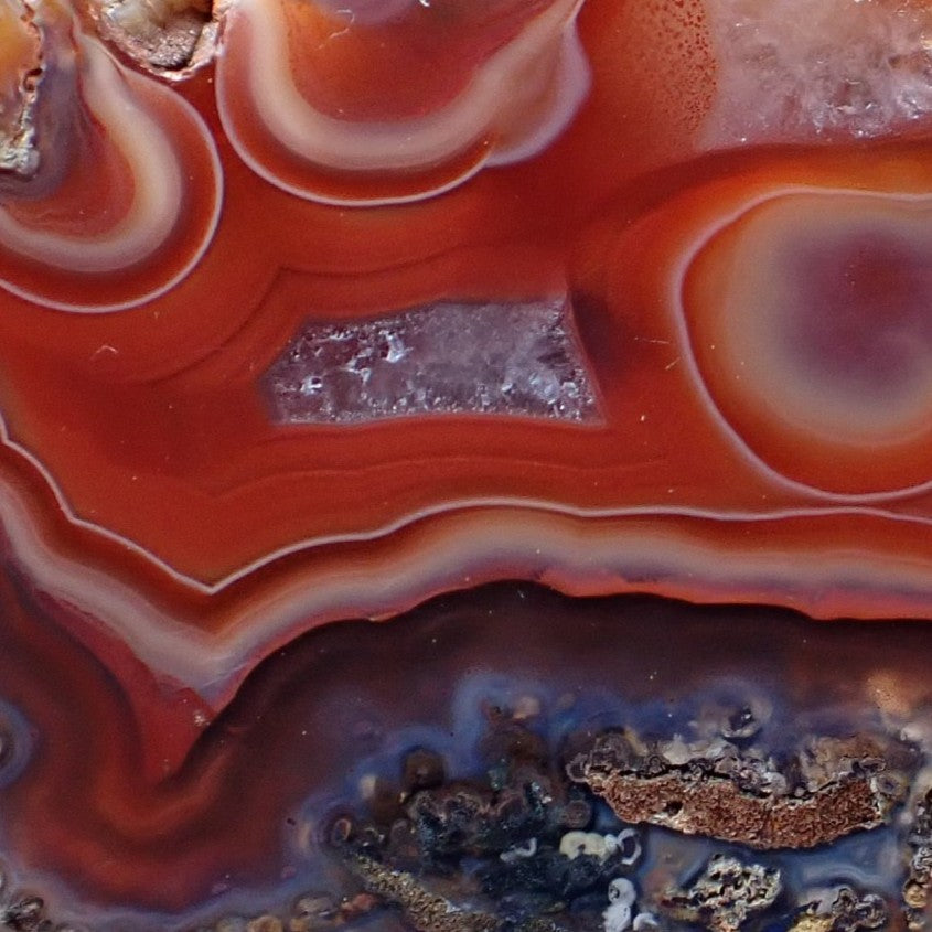 Close-up Malawi agate 56 mm – flow channels in deep sard-red, crazy lace loops upper left, rectangular crystalline vug, dark dendritic inclusions in blue-grey chalcedony border, Ngabu origin | SKU 000385