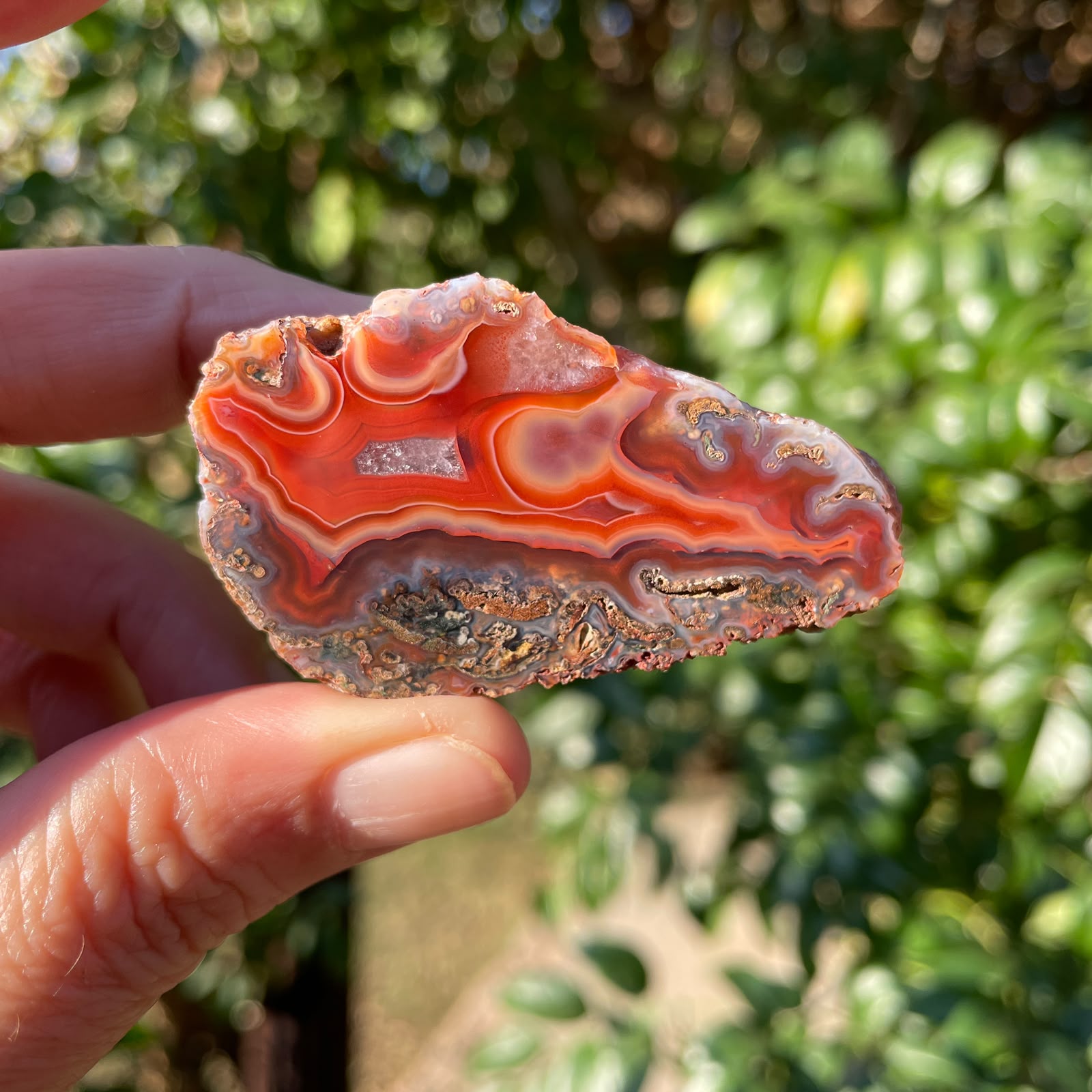 Fiery red and orange Malawi agate 56 mm – in-hand view, flow channel, crazy lace banding, crystalline vug, dendritic inclusions, blue-grey chalcedony border, Ngabu origin, hand-polished in South Africa | SKU 000385
