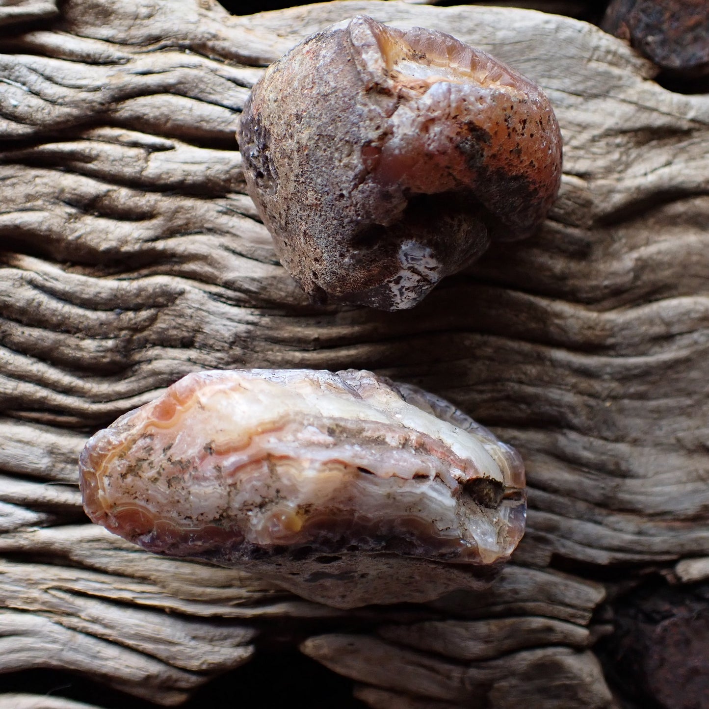 Unpolished rinds Malawi agate pair 52 mm – dark iron-stained nodules with natural surface texture, Ngabu origin | SKU 000388