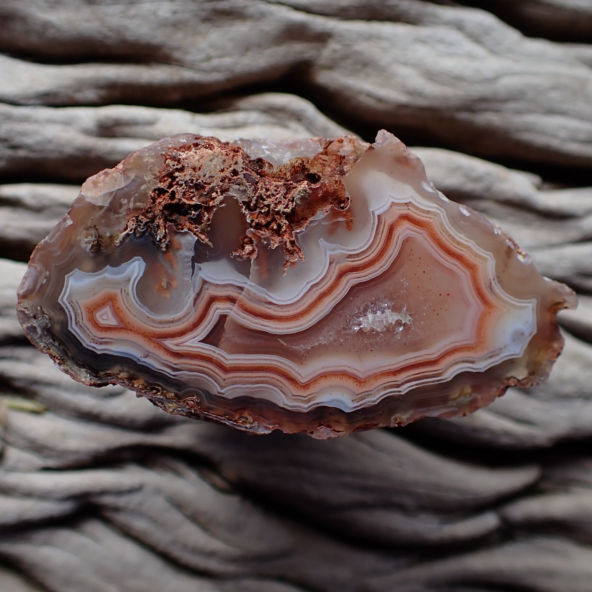 Natural Malawi agate 51 mm – scalloped fortification banding in rose-pink and mauve, wide blue-grey chalcedony zone, Ngabu origin, hand-polished in South Africa | SKU 000389