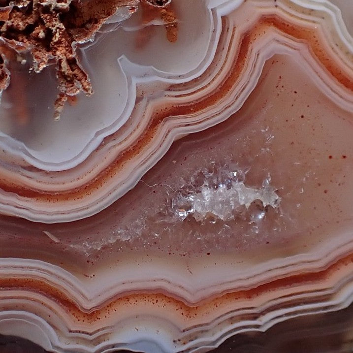 Close-up Malawi agate 51 mm – pronounced scalloped band edges, rose-pink to cream-white banding, blue-grey chalcedony contrast zone, Ngabu origin | SKU 000389