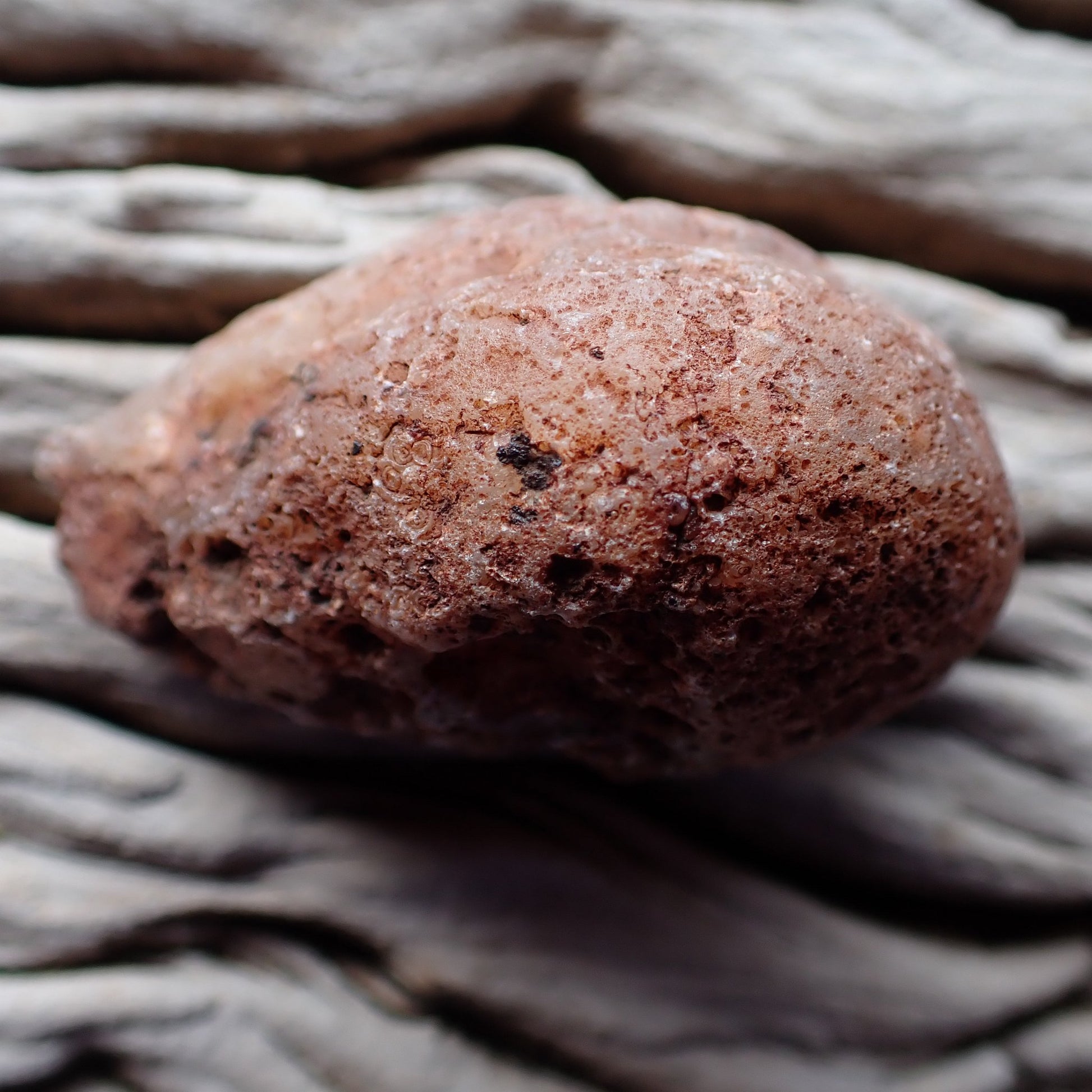 Unpolished rind Malawi agate 51 mm – pale pinkish-beige textured surface with natural pitting, Ngabu origin | SKU 000389