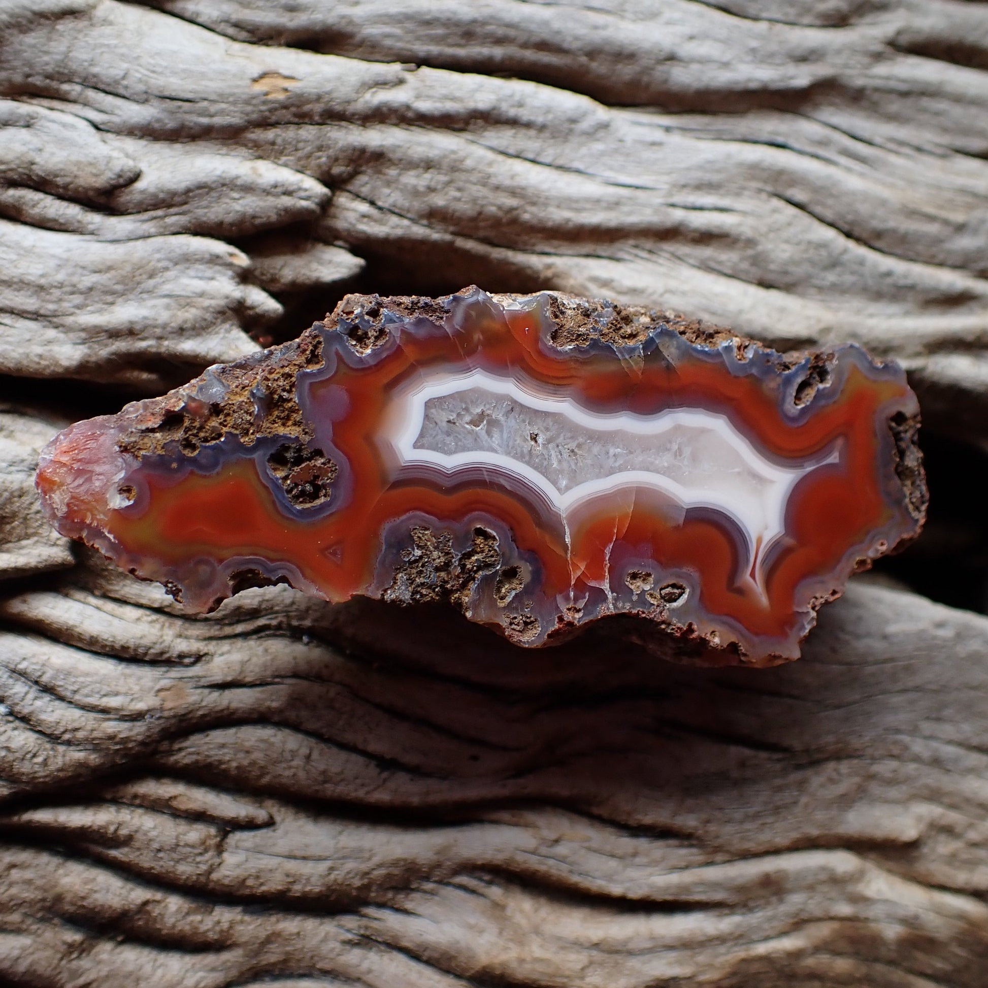 Full specimen view, natural hand-polished Malawi agate 68 mm – fortification banding, white chalcedony centre, Ngabu origin | SKU 000390