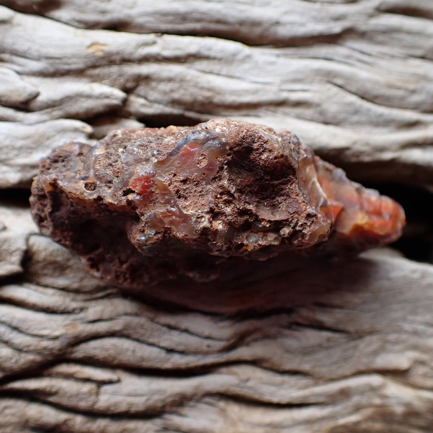 Unpolished rough side of Malawi agate showing natural texture