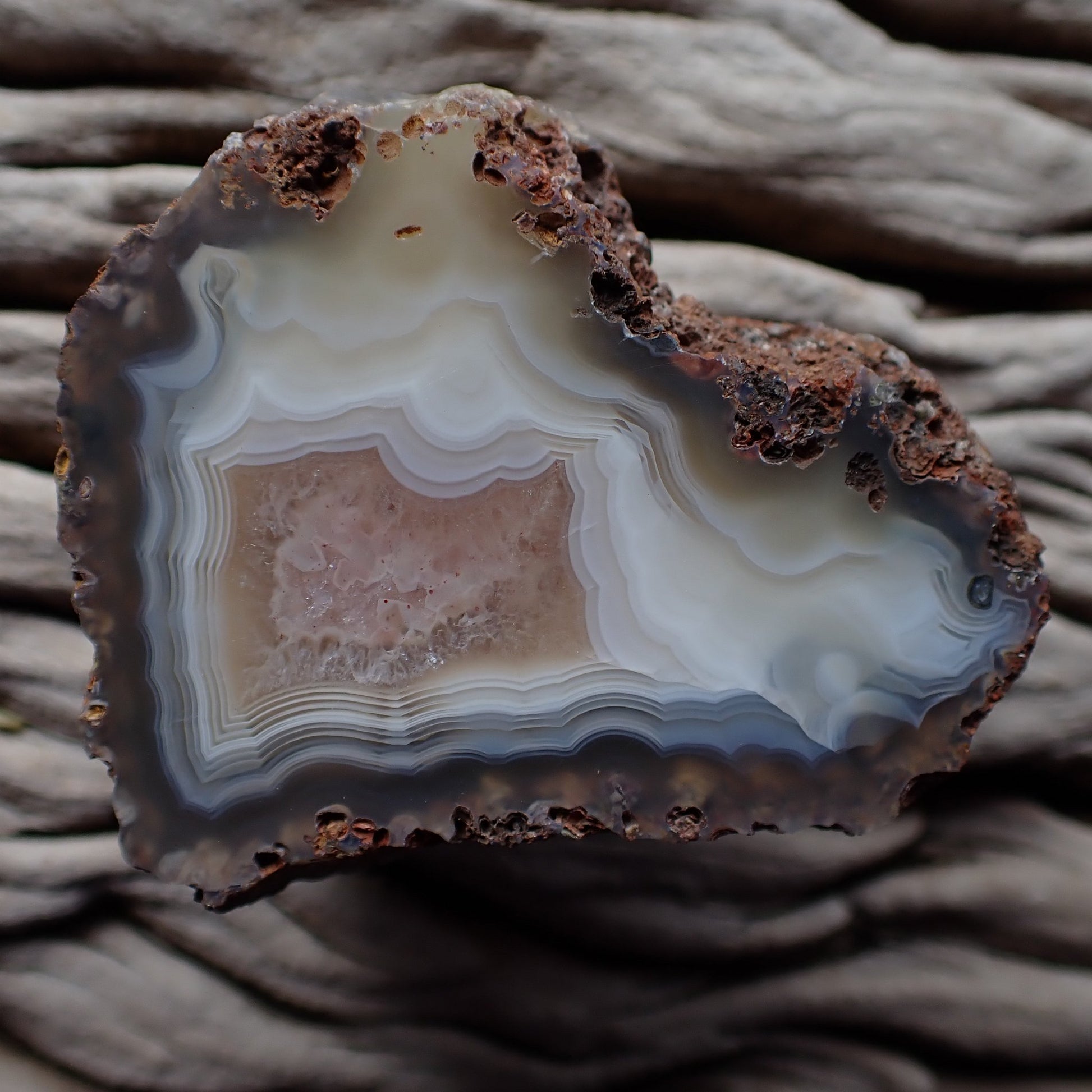 Full specimen, natural hand-polished Malawi agate 52 mm – parallax, fortification banding, ghost banding, scalloped banding, cool blue-grey palette, Ngabu, Malawi | SKU 000392