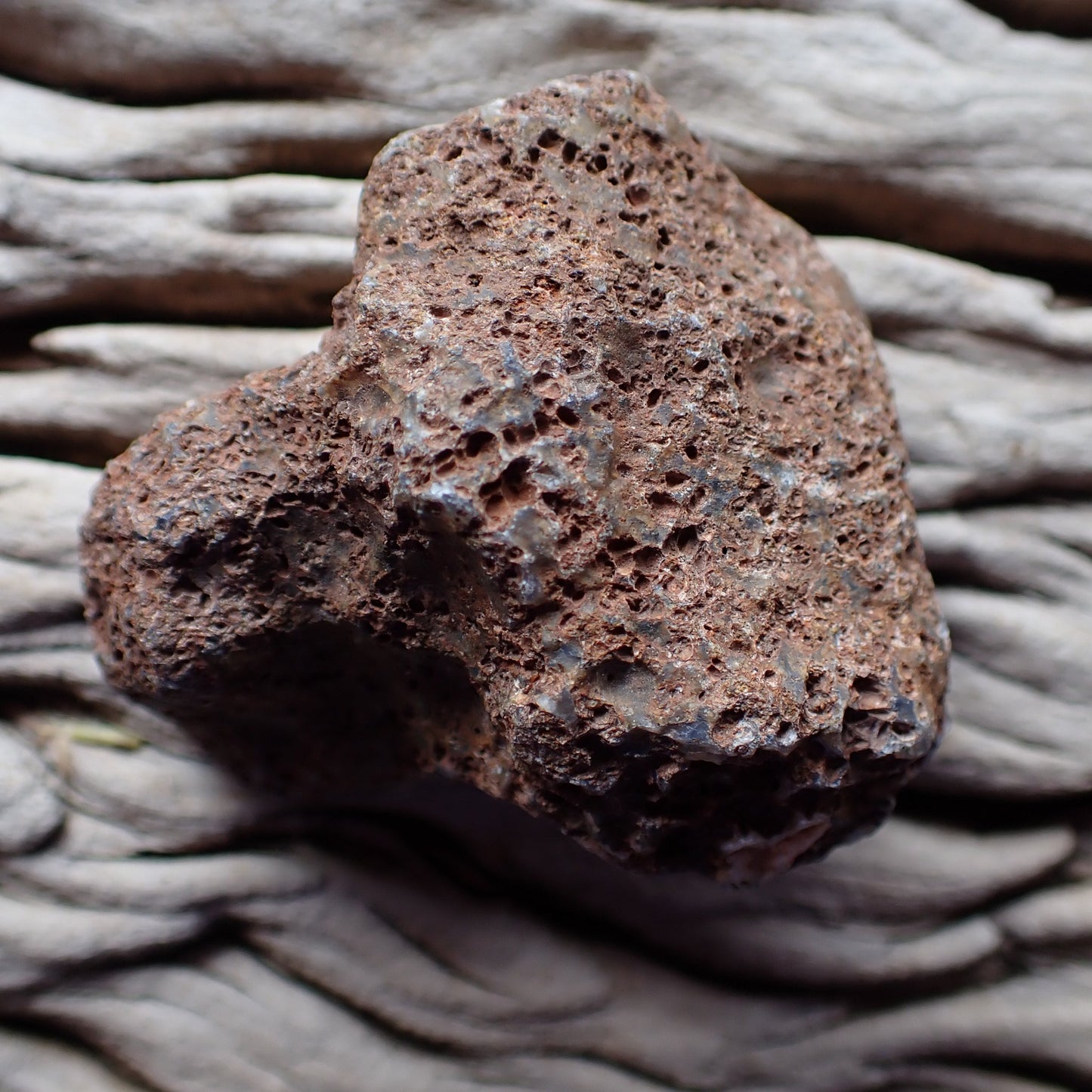 Unpolished rough side of Malawi agate showing natural texture