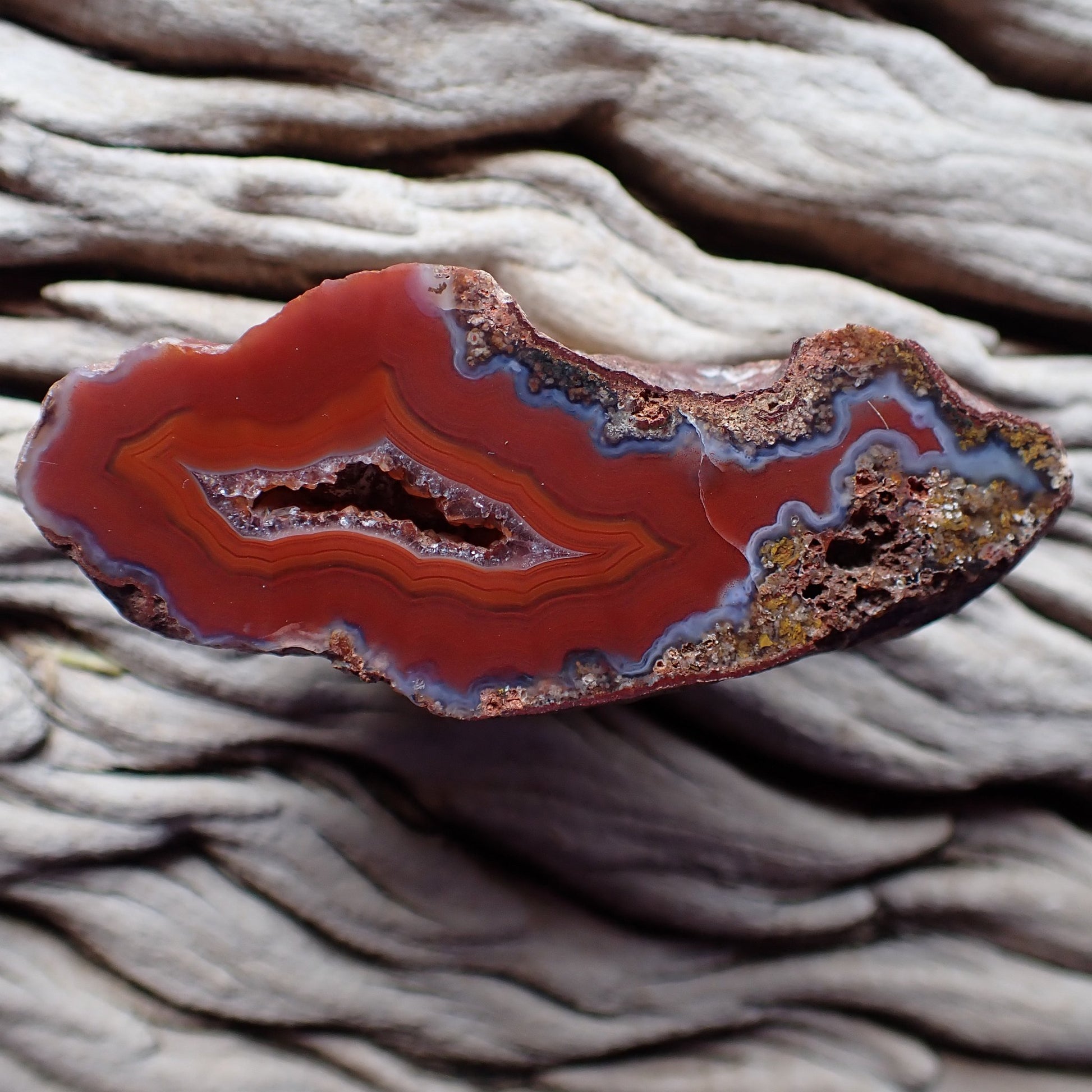 Full specimen, natural hand-polished Malawi agate 62 mm – elongated druzy vug, scalloped banding, deep sard-carnelian red, Ngabu, Malawi | SKU 000393