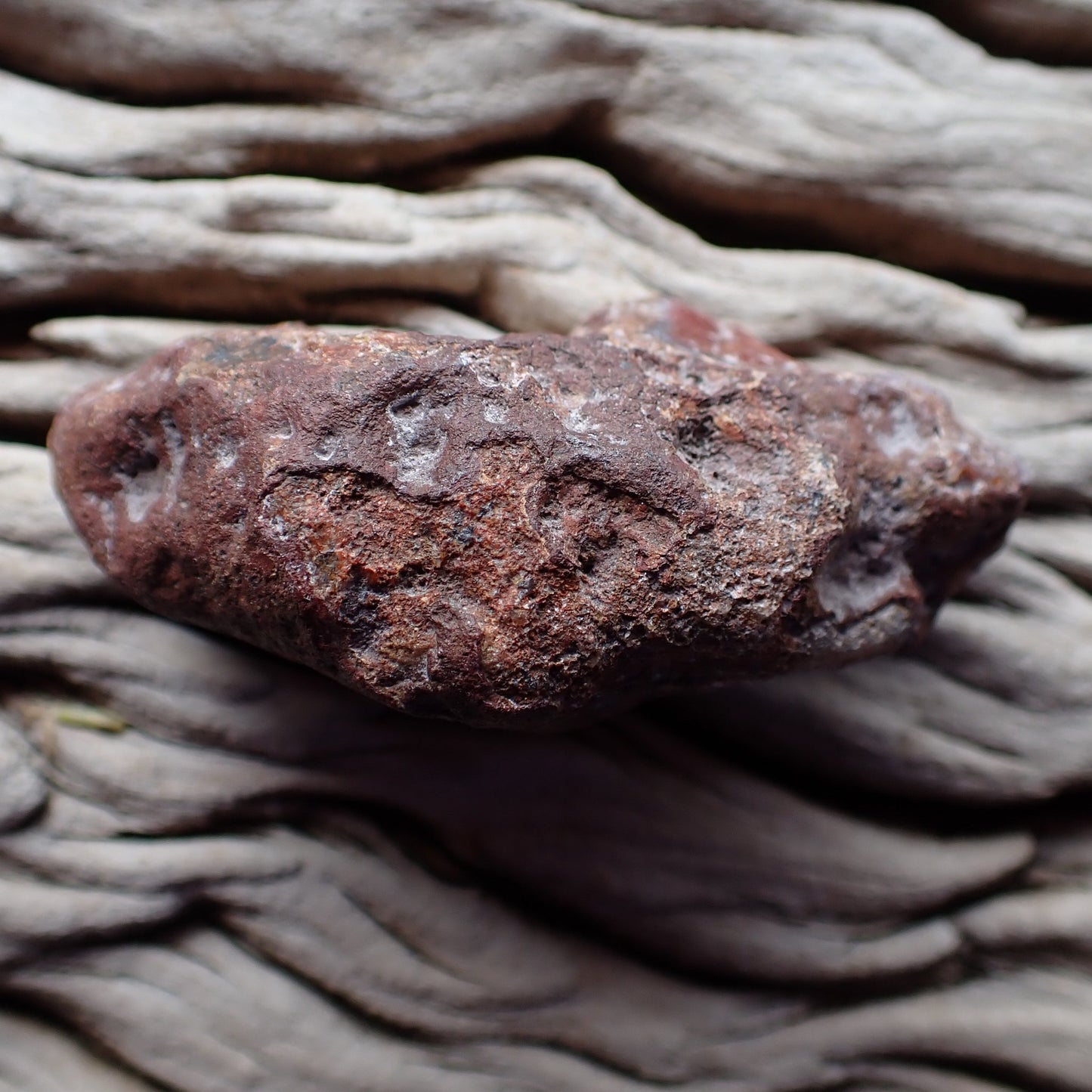Unpolished rough side of Malawi agate showing natural texture