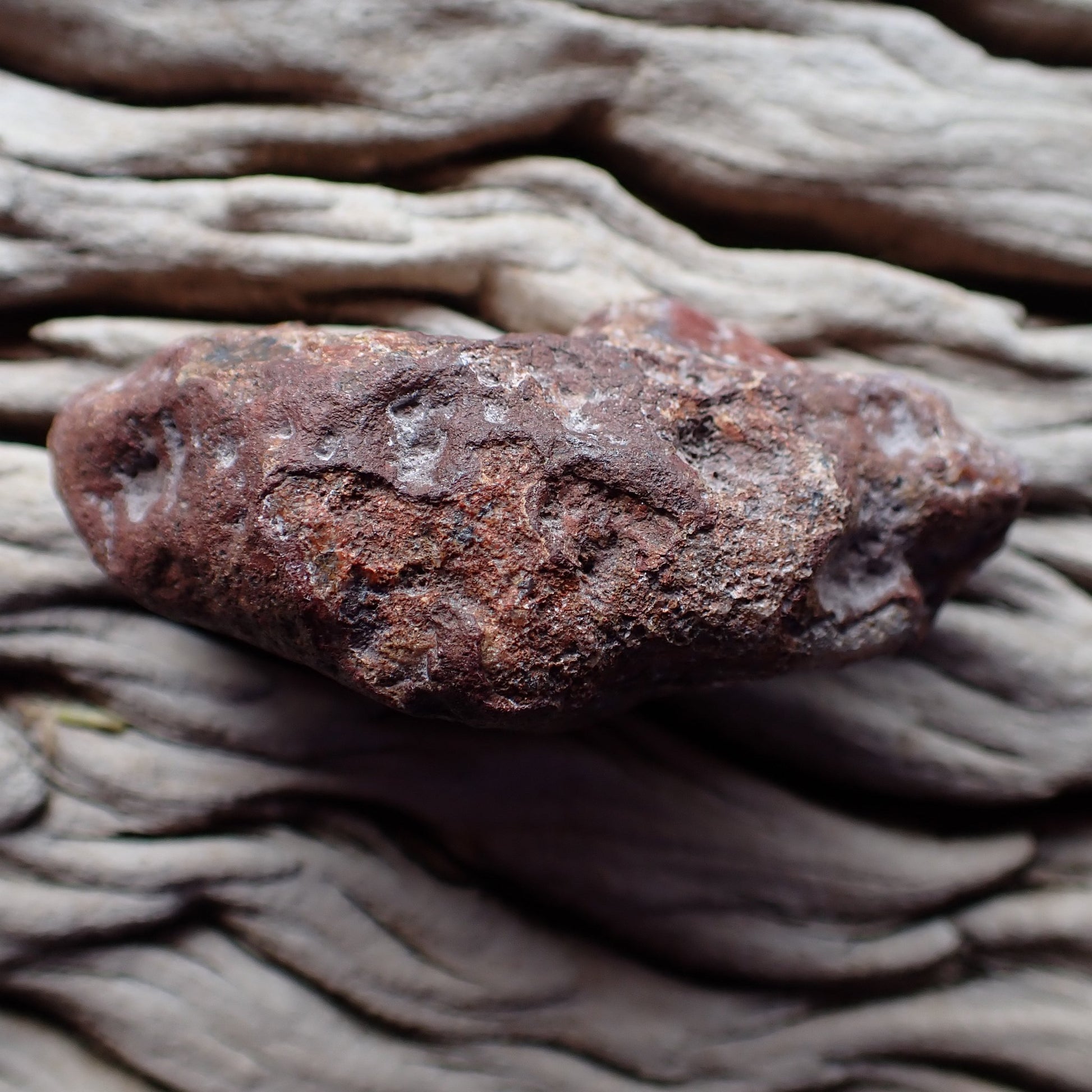 Unpolished reverse, natural Malawi agate 62 mm – iron-rich weathered rind, Ngabu, Malawi | SKU 000393