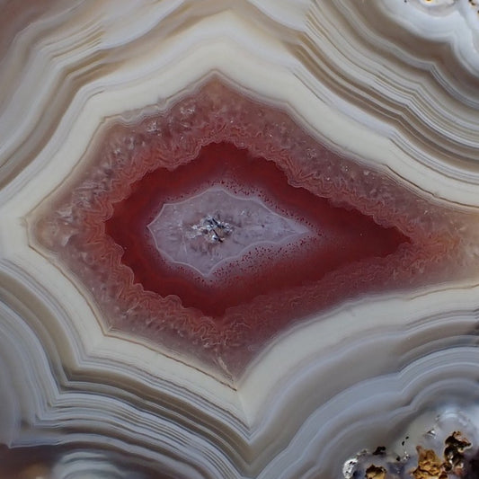 Close of of a Malawi agate peach and red floater surrounded by pastel hues of cream and brown