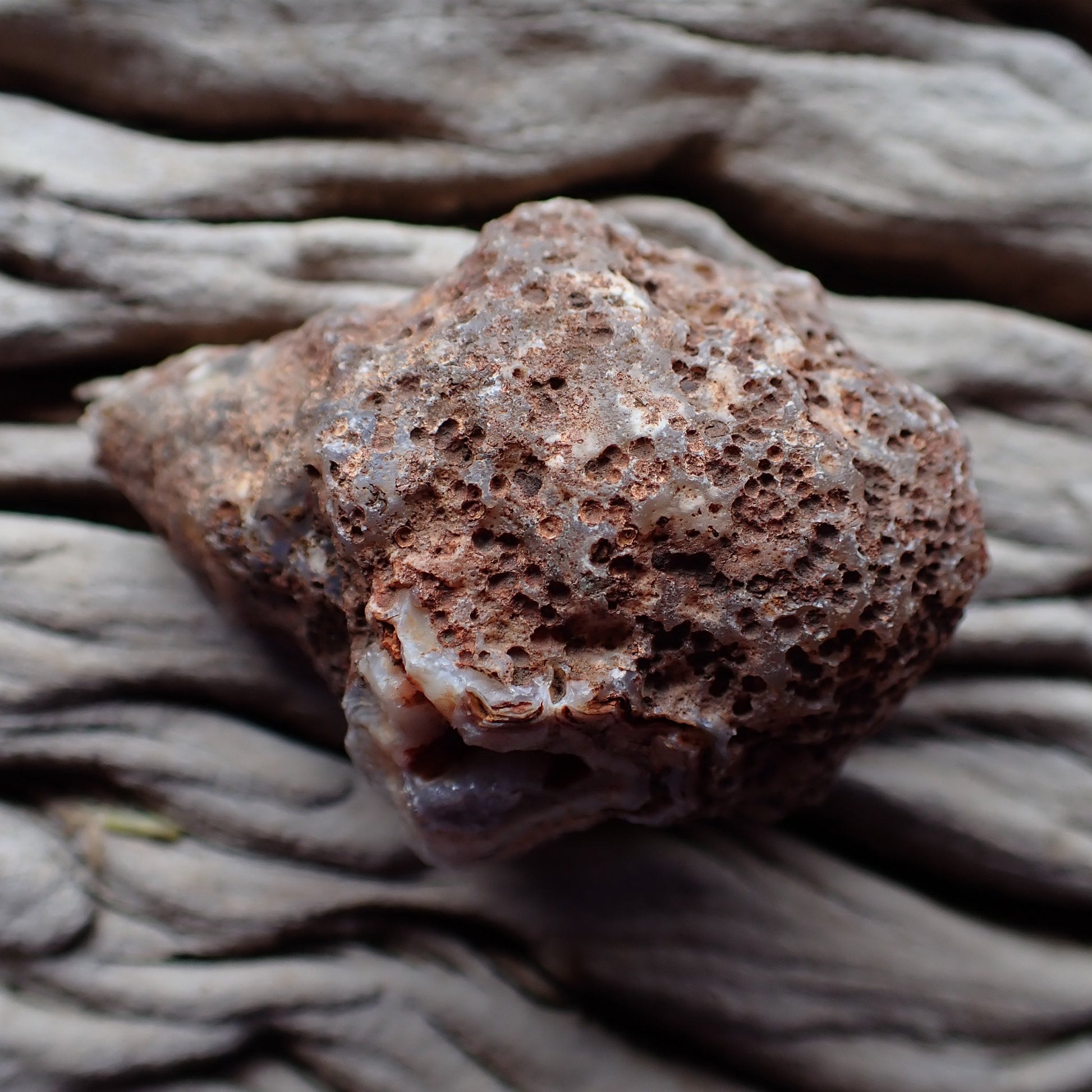Unpolished rough side of Malawi agate showing natural texture