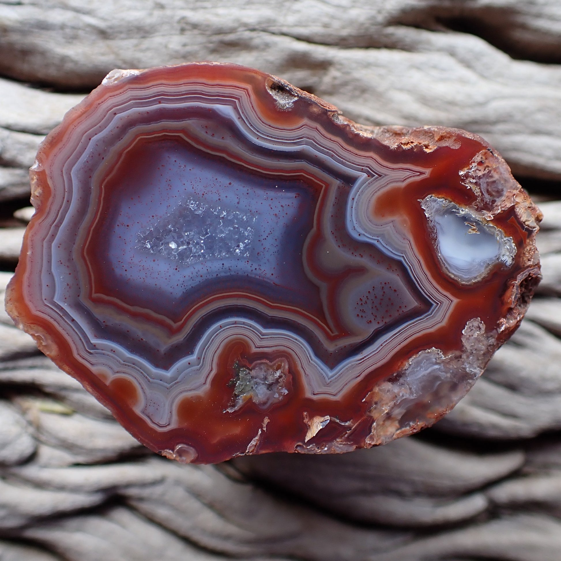 Fortification banding Malawi agate 54 mm – front view, angular fortification and scalloped banding, hematite inclusions, sard-red to blue-grey, Ngabu-sourced hand-polished | SKU 000397