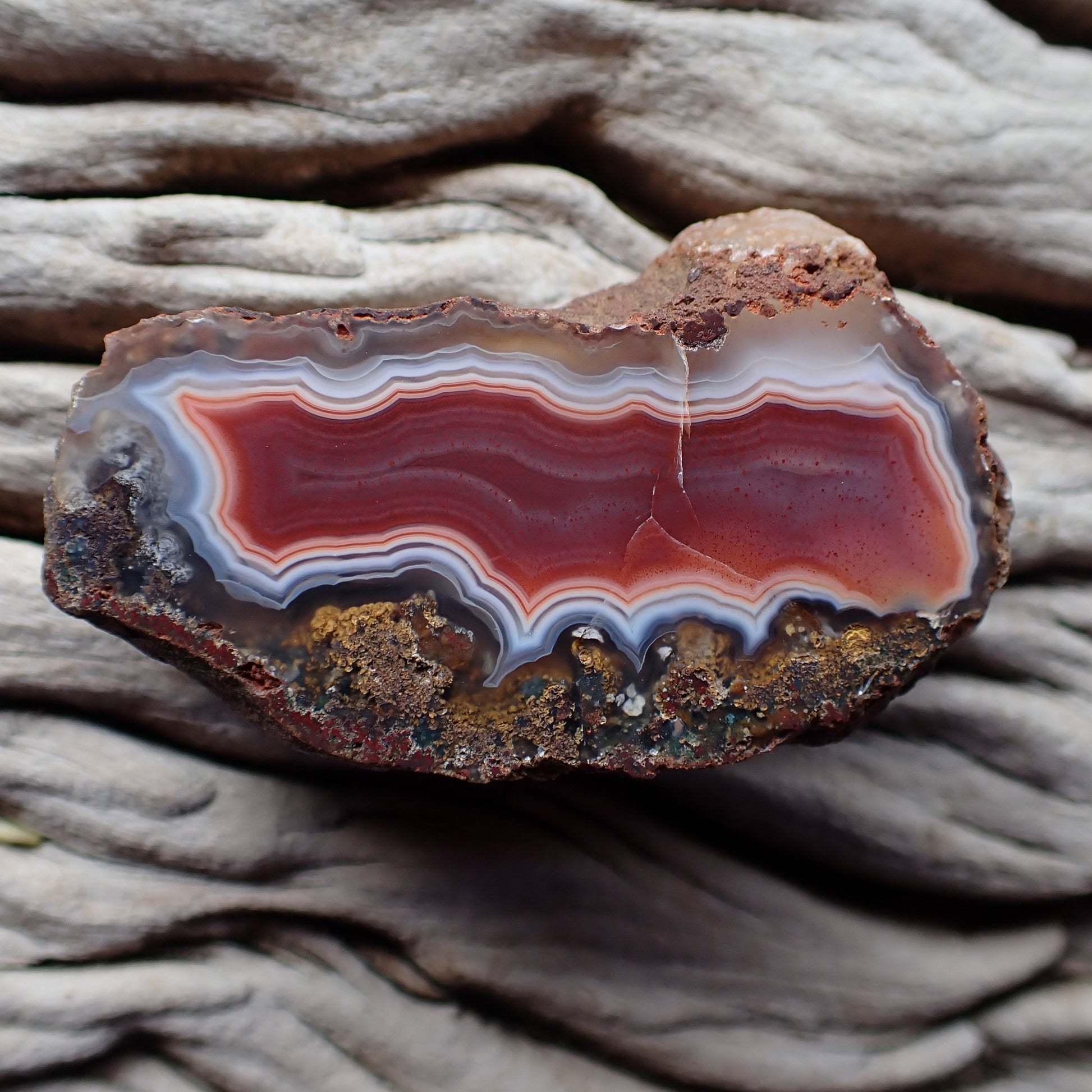 Scalloped banding Malawi agate 50 mm – front view, scalloped banding, sard-red centre with blue-grey chalcedony bands, hematite inclusions, Ngabu-sourced hand-polished | SKU 000398