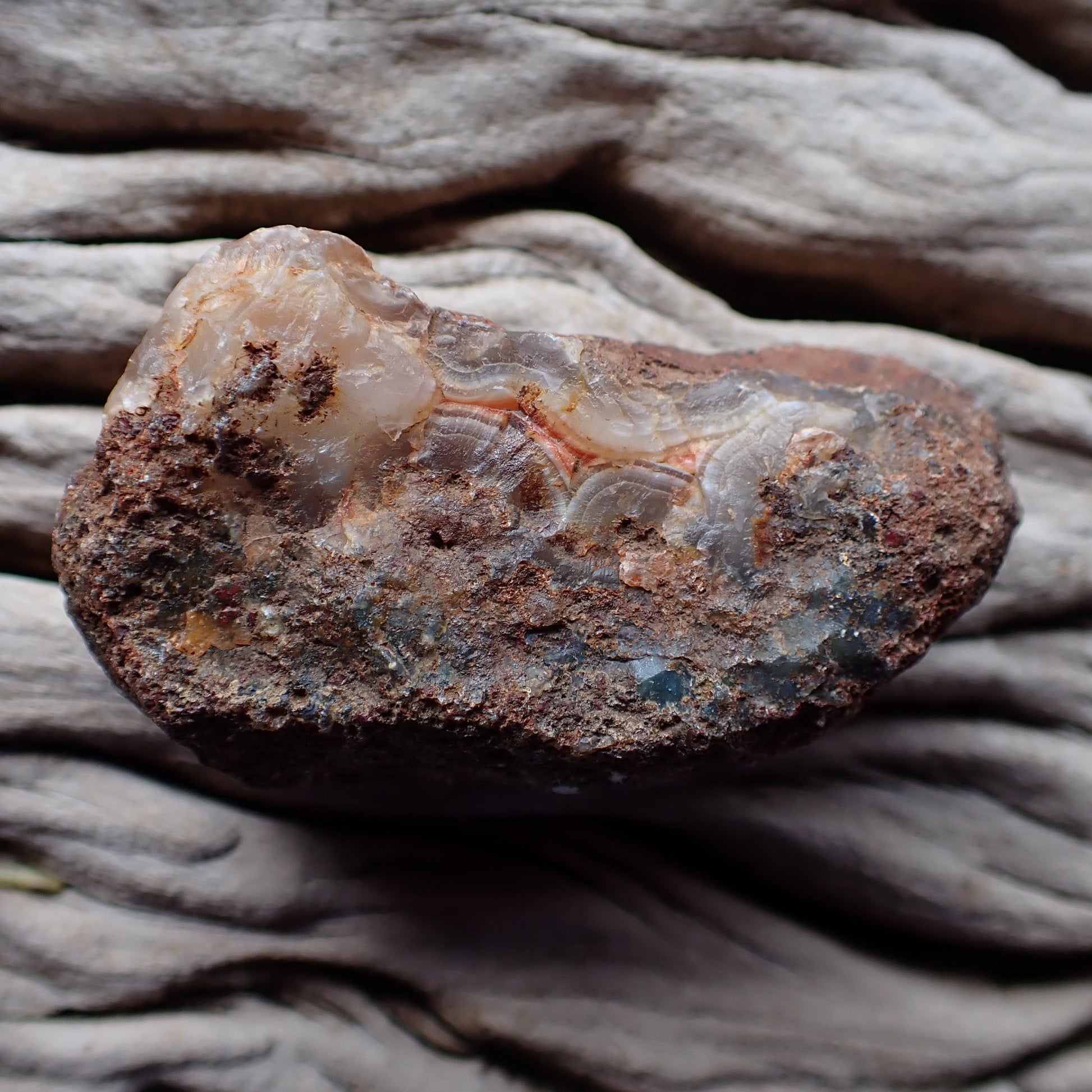 Scalloped banding Malawi agate 50 mm – unpolished reverse side, natural rind, Ngabu, Malawi | SKU 000398