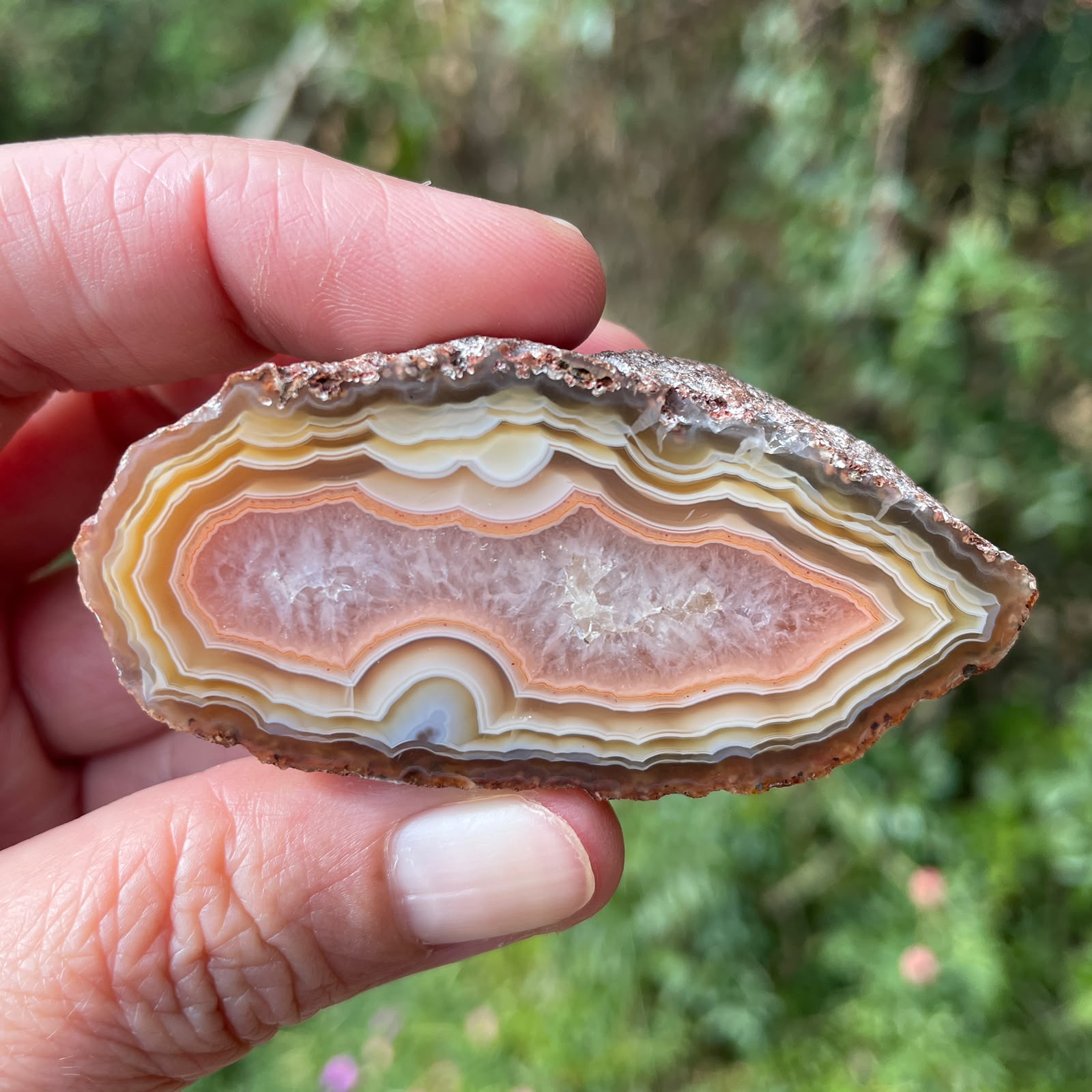 Ghost banding Malawi agate 63mm – in-hand size reference, rose-pink and cream tones, ghost banding and scalloped banding | SKU 000399