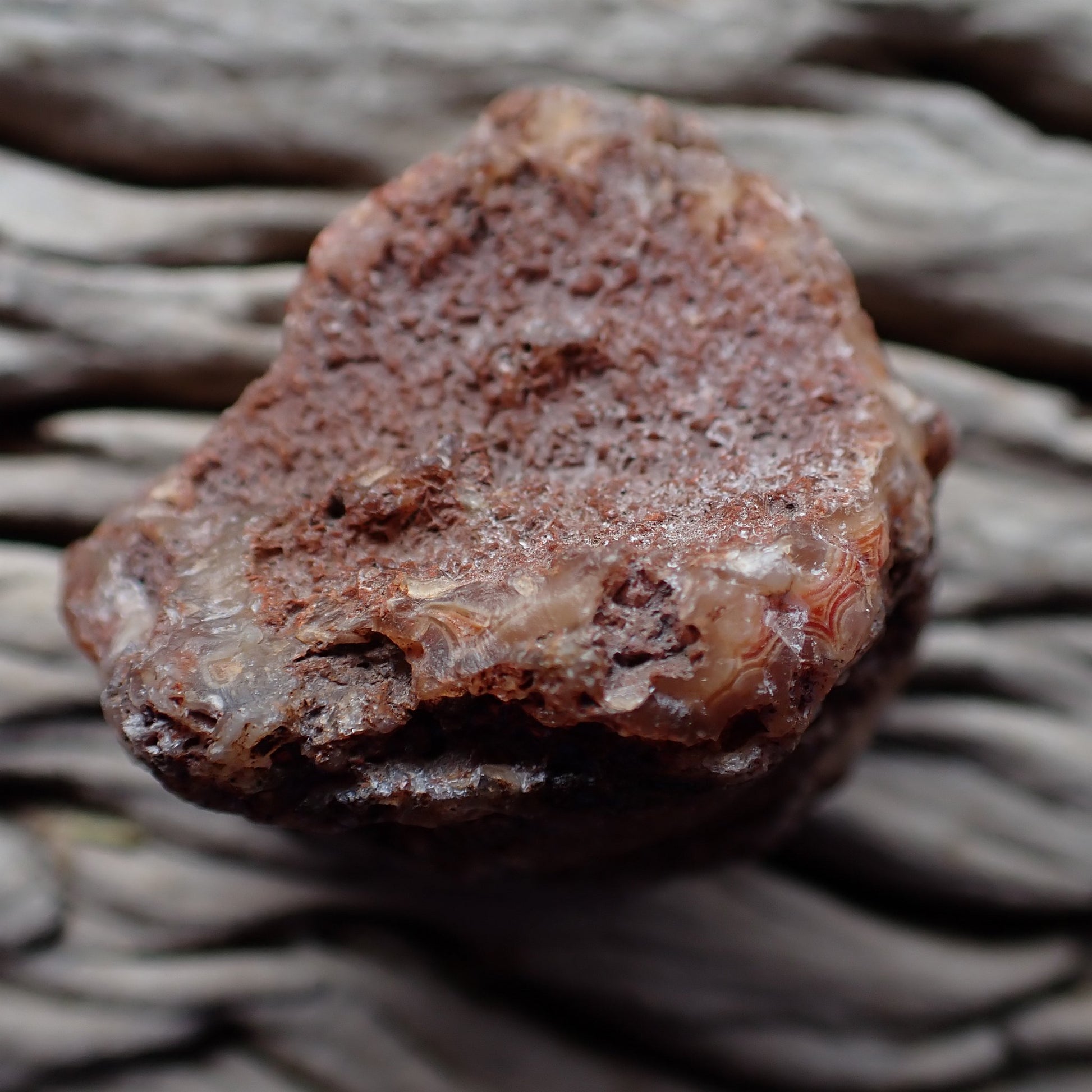 Flow channel eye Malawi agate 50mm – unpolished reverse, natural rind, Ngabu Malawi origin | SKU 000400