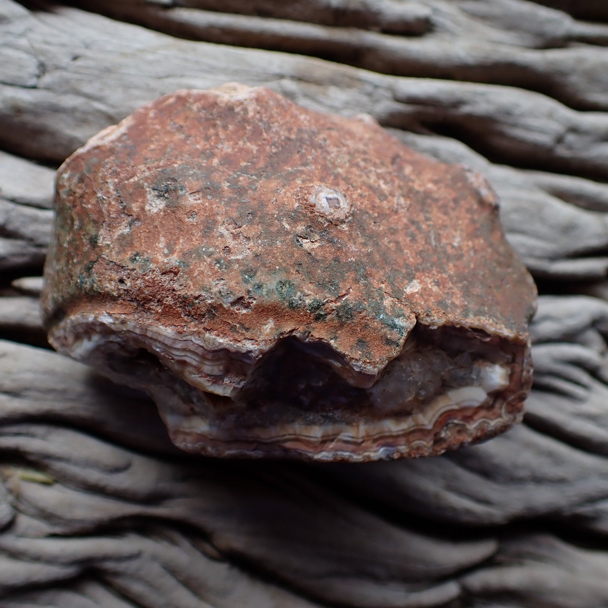 Unpolished rough side of Malawi agate showing natural texture and break line