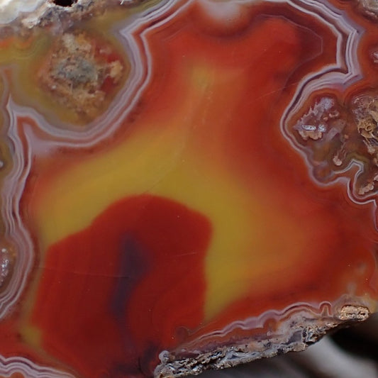 Close up of a fiery malawi agate