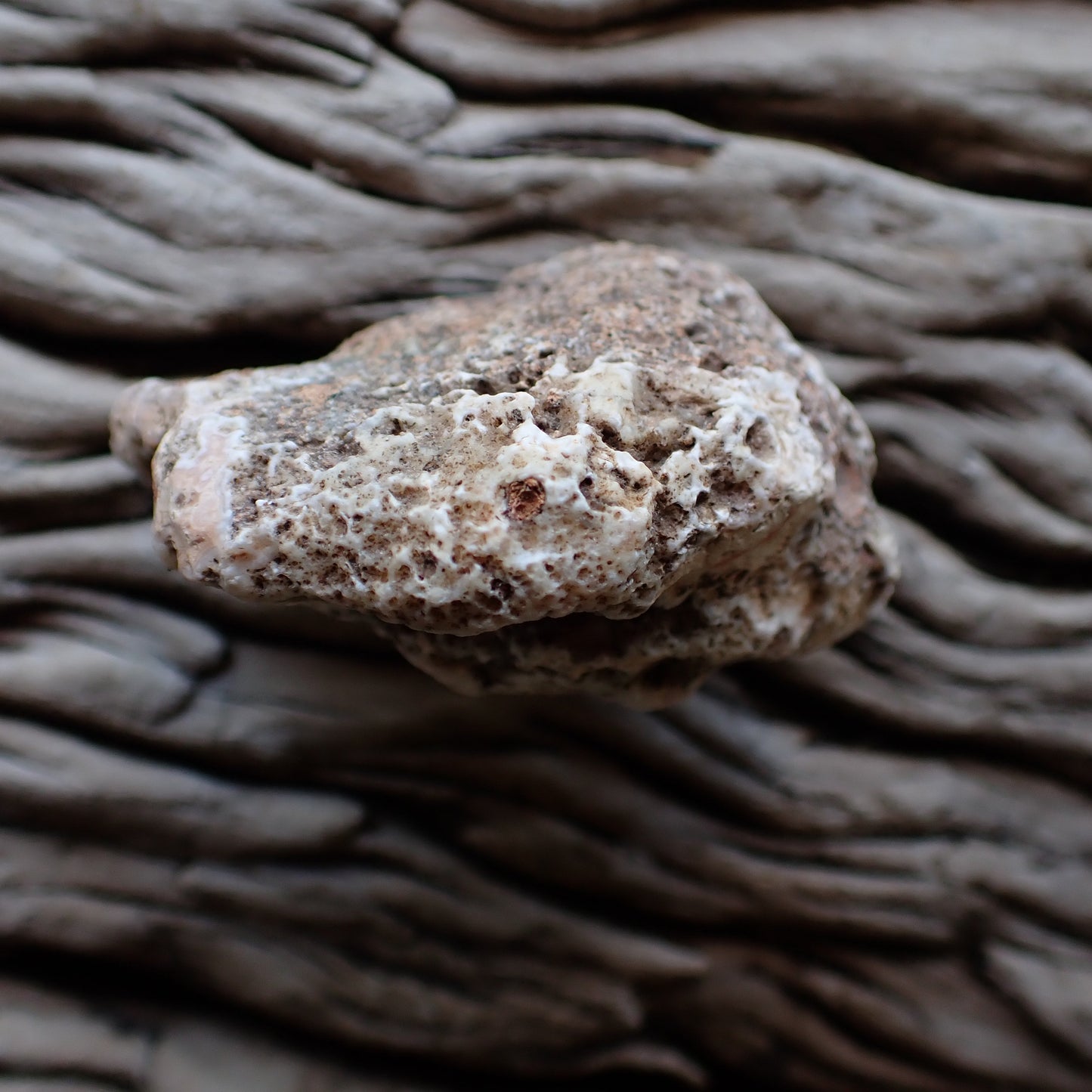 unpolished side of a malawi agate nodule