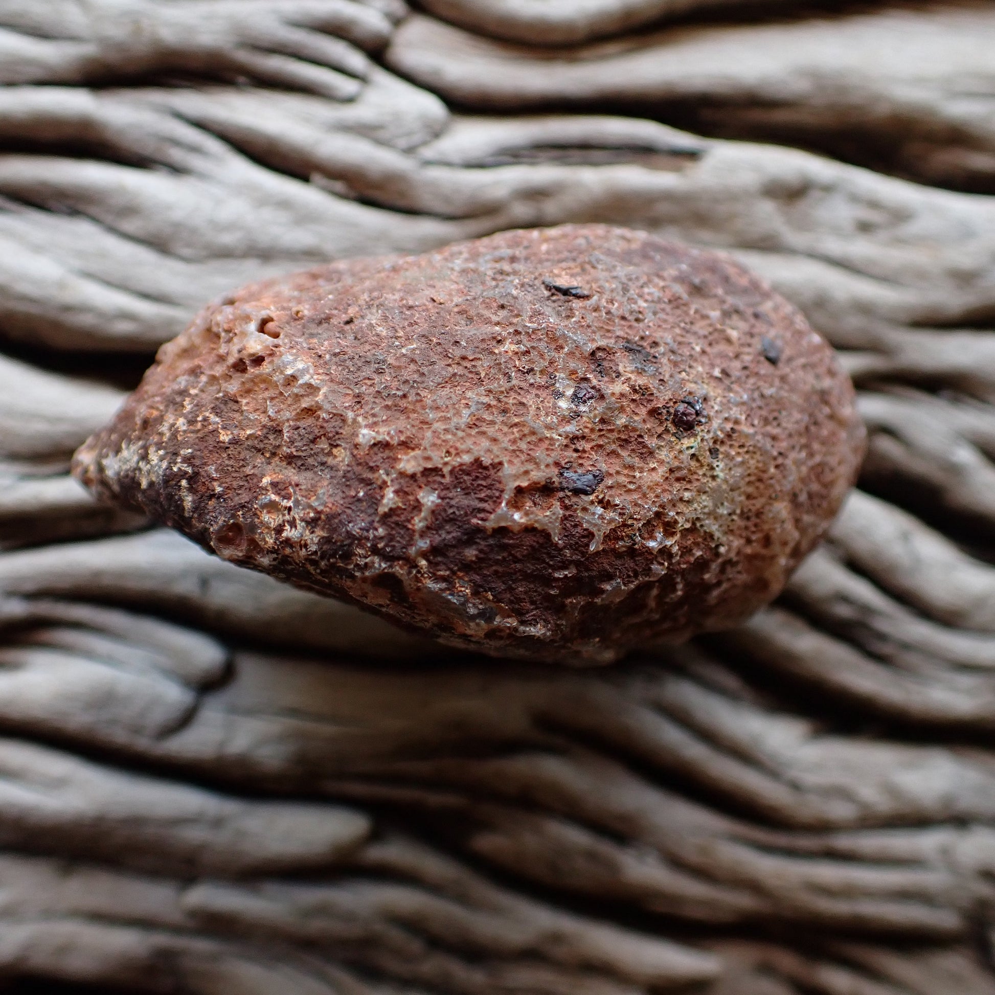unpolished side of a malawi agate nodule
