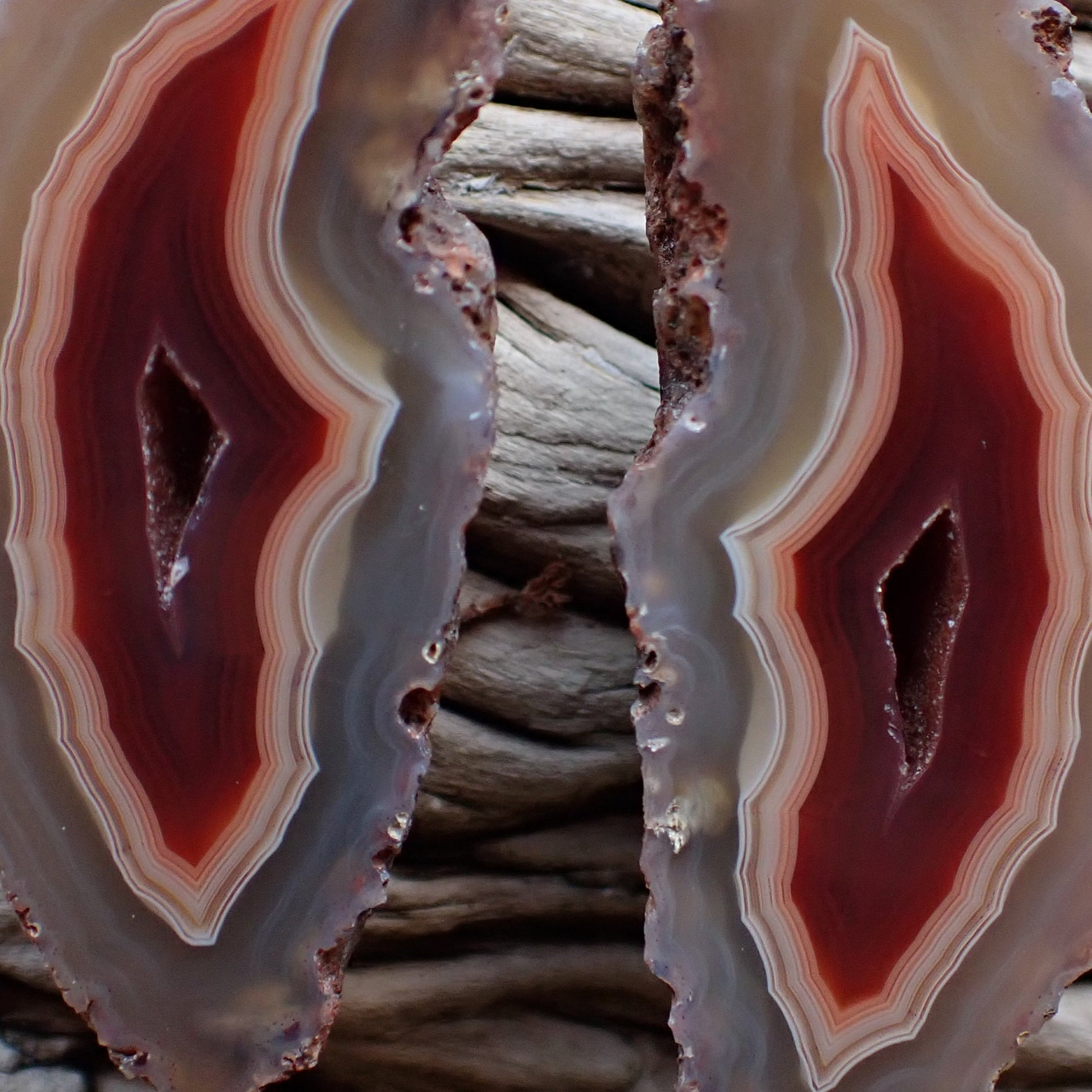 close up of a matching Malawi ngabu agate pair with outer ghost banding going into peach and then deep wine red with a drusy centre