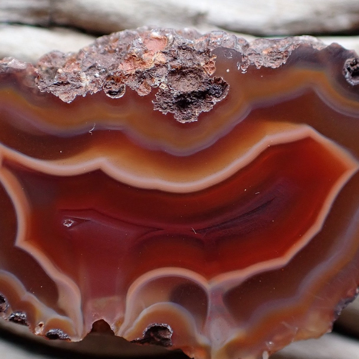 Close up of a fiery little Malawi agate with beautiful well defined ghost banding and flow channels