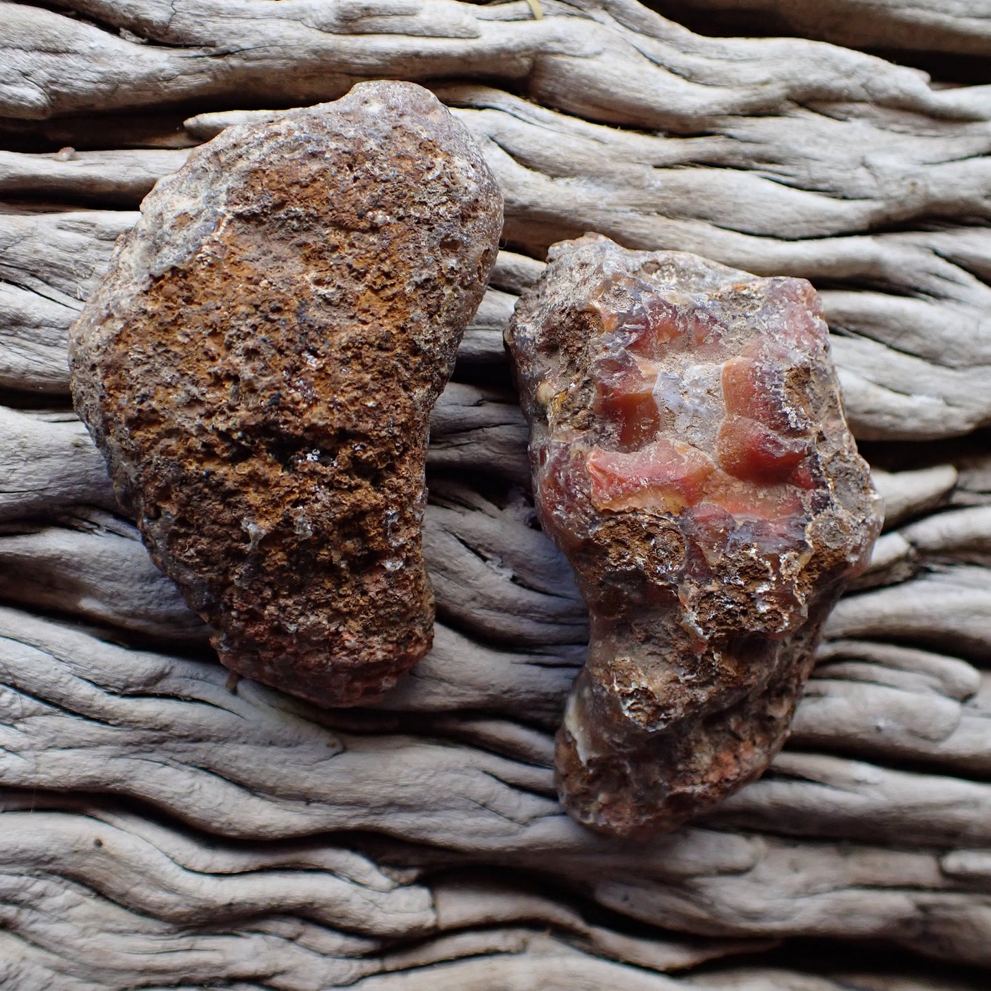 Unpolished side of a malawi agate nodules