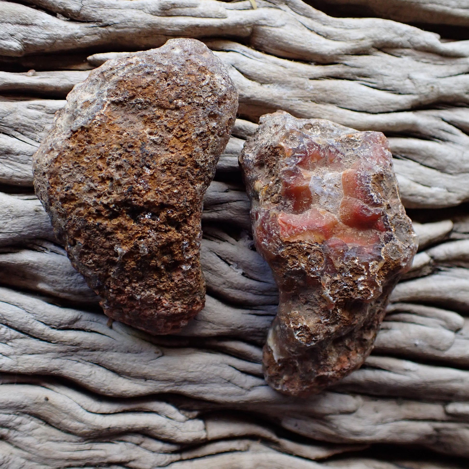 Unpolished side of a malawi agate nodules