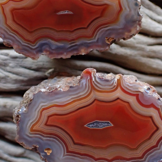 close-up of cut and polished malawi gabu agate pair with stunning fortification and ghost banding and flow channels, deep red going out into salmon and orange bands