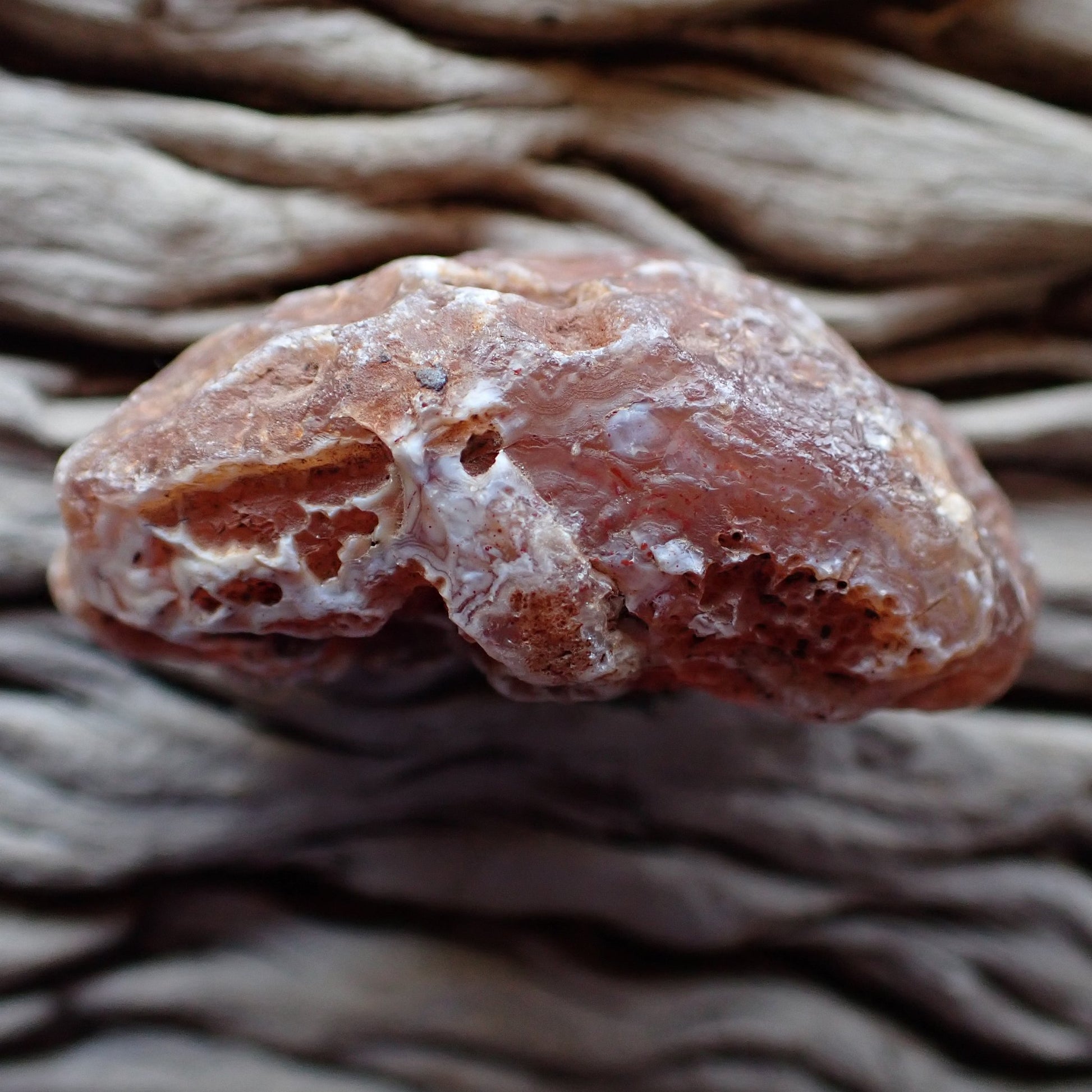 unpolished side of a Malawi agate nodule