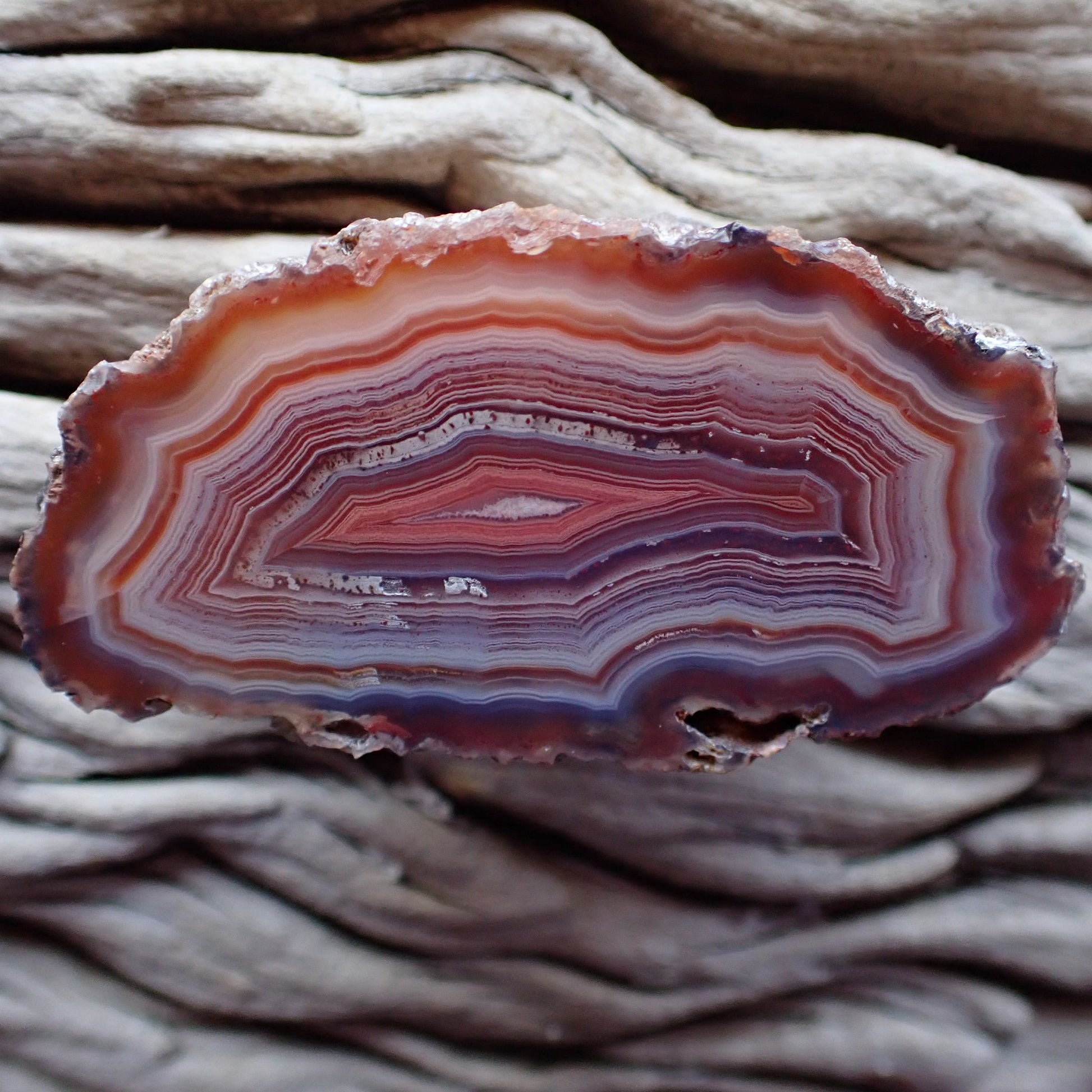Lovely tightly banded cut and polished Malawi agate