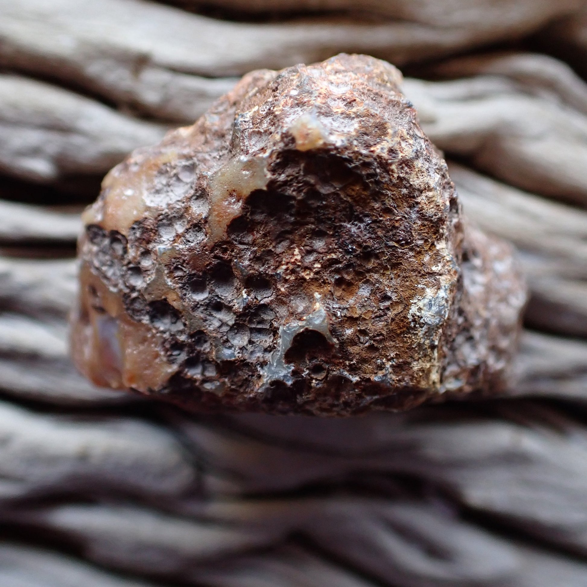 Unpolished side of a Malawi ngabu agate nodule