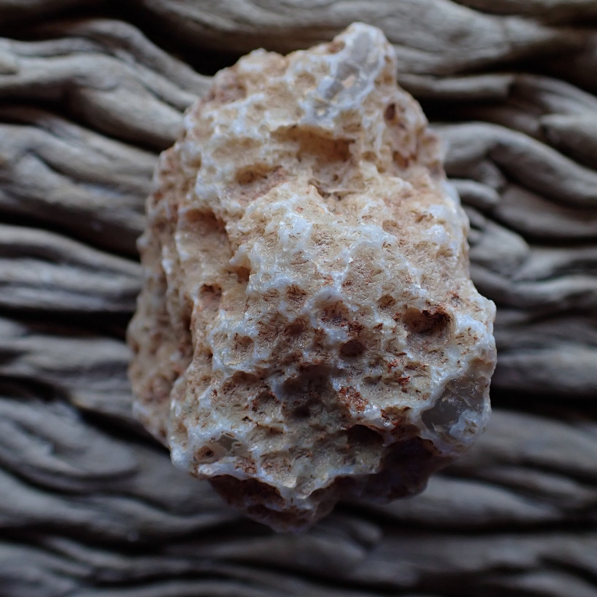 unpolished side of a Malawi agate nodule from the Ngabu region