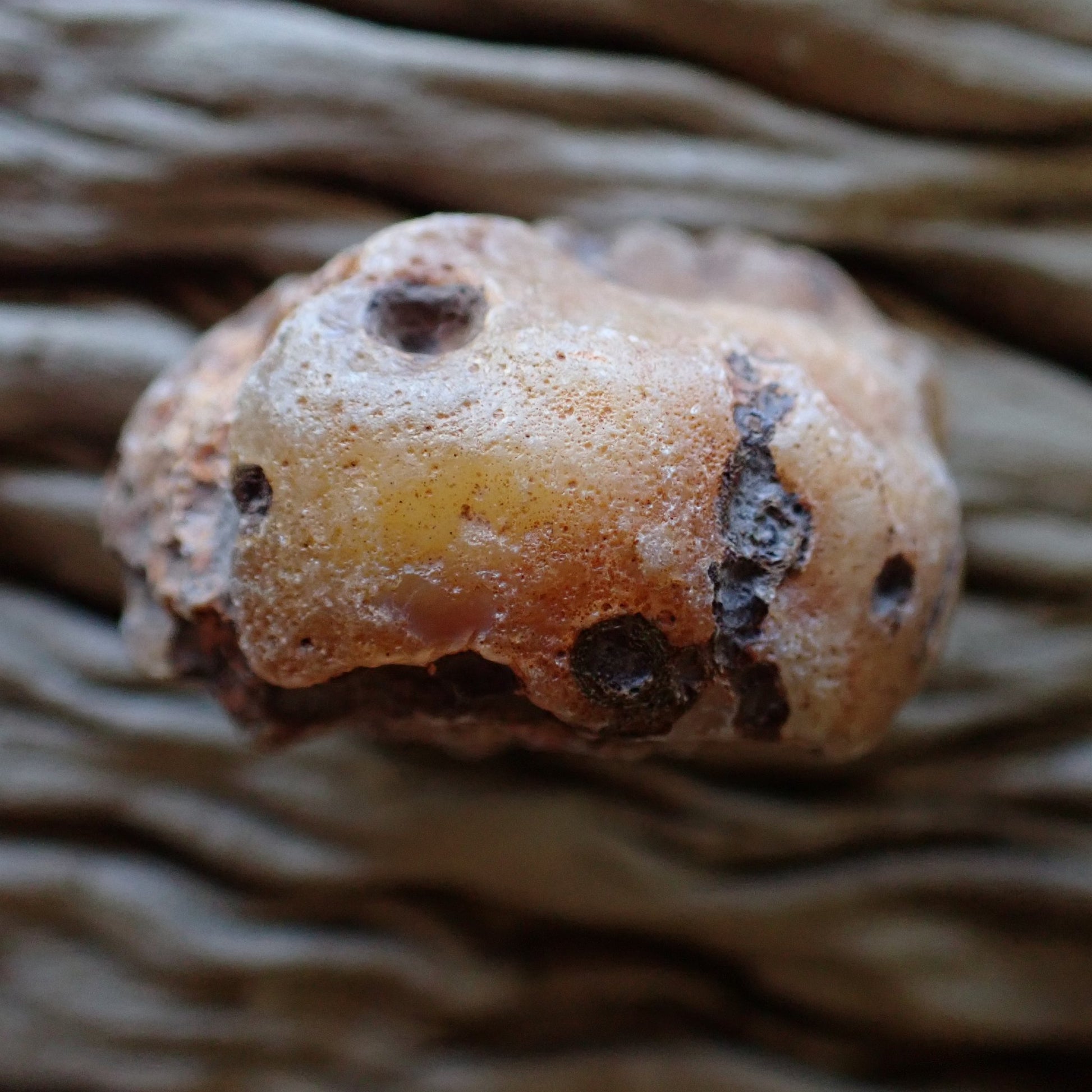 unpolished side of a cut Malawi agate nodule from the Ngabu region