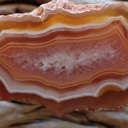 Close up of a primarily orange polished Malawi agate specimen with ghost banding