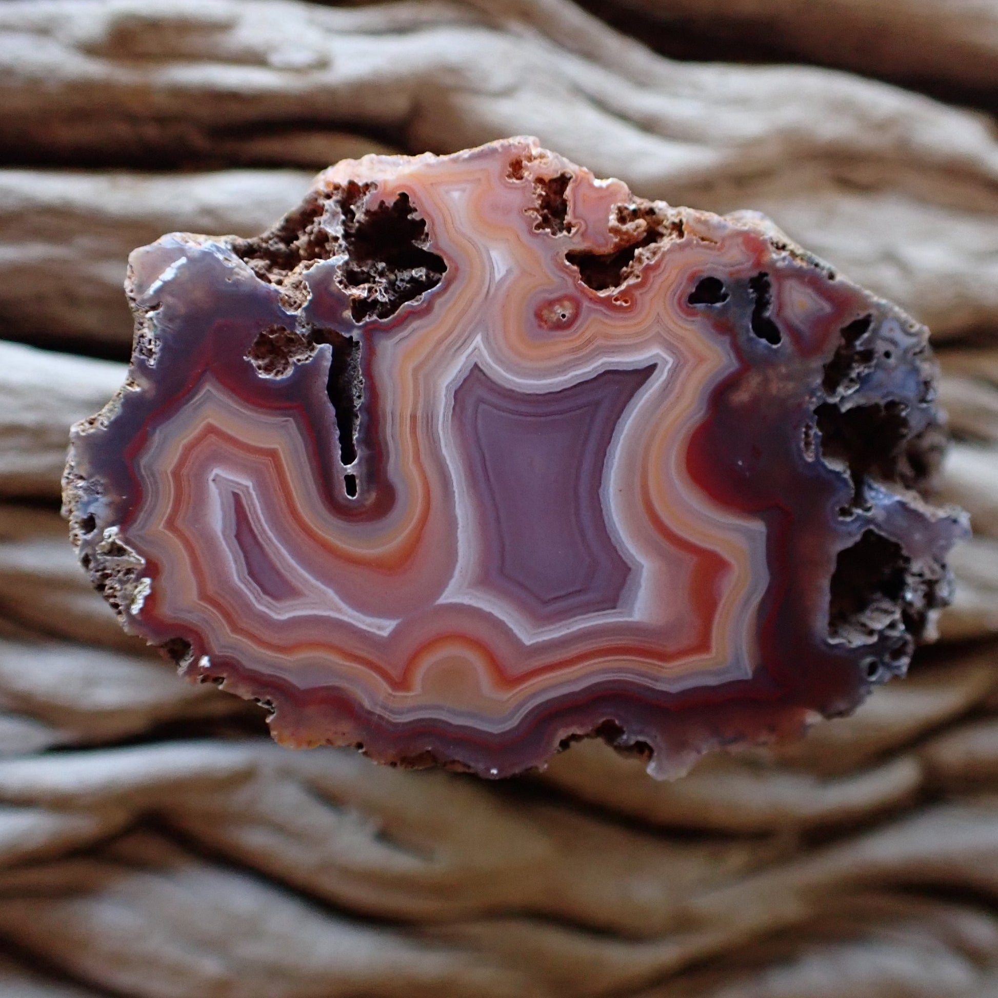 Malawi agate collector specimen with purple and orange colouring featuring perimorphs and fortification banding