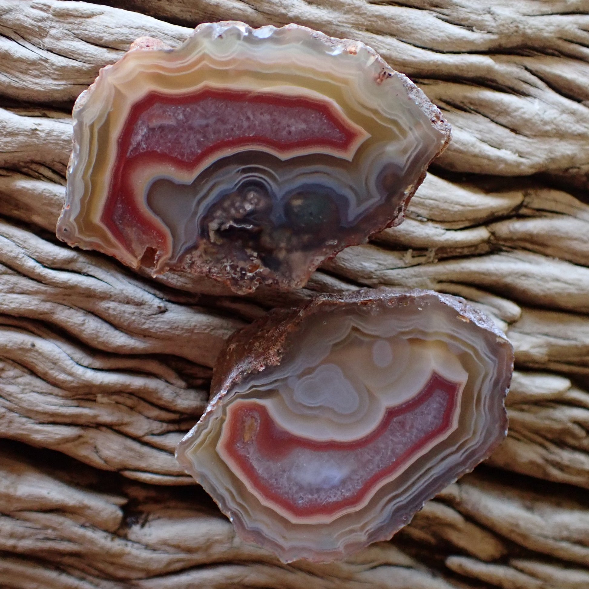 Hand polished matching Malawi Ngabu agate pair with ghost eyes and fortification banding