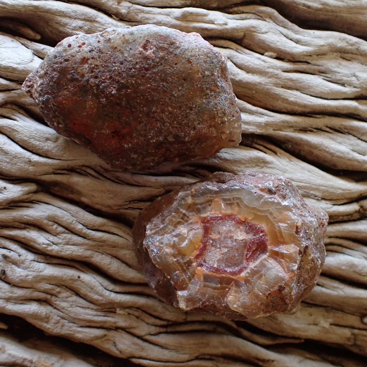 Unpolished sides of a cut Malawi Ngabu agate pair