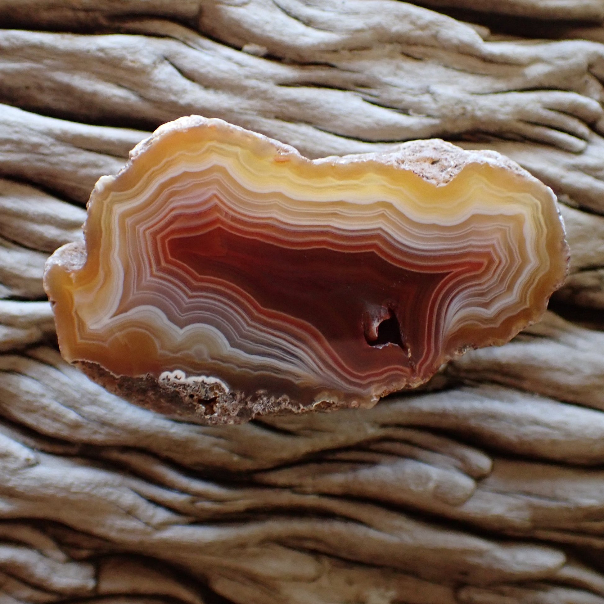 Hand cut and polished red, orange and bronze Malawi Ngabu agate collector specimen with stunning wavy ghost and fortification banding