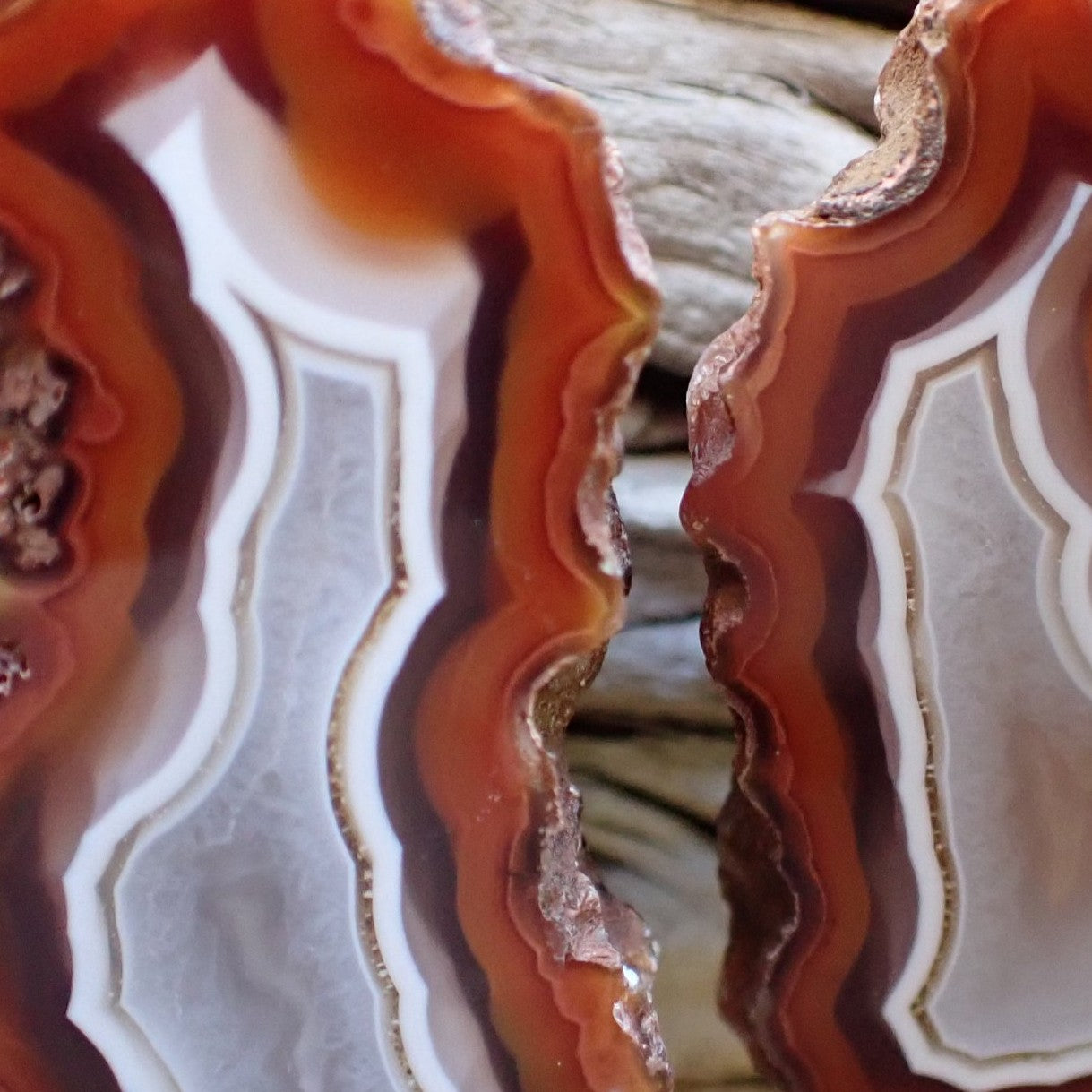 Close-up of hand-polished Malawi agate face showing layered ghost banding and tight fortification bands in warm sard-carnelian tones — SKU 000471
