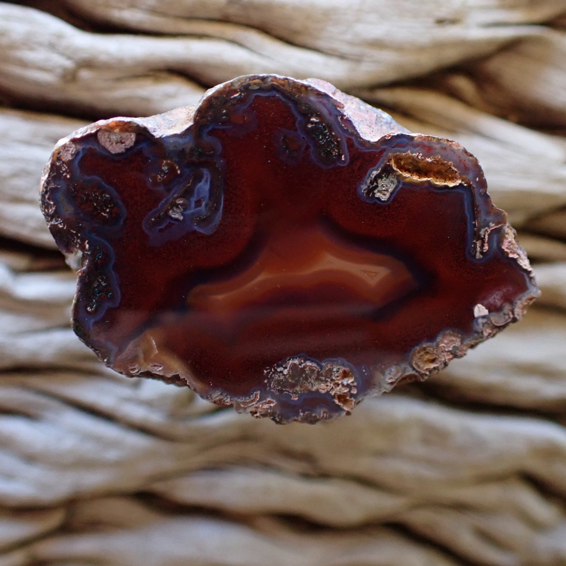 Hand-polished Malawi agate from Ngabu showing deep sard-carnelian body with blue-grey chalcedony border and fluid fortification banding — SKU 000472